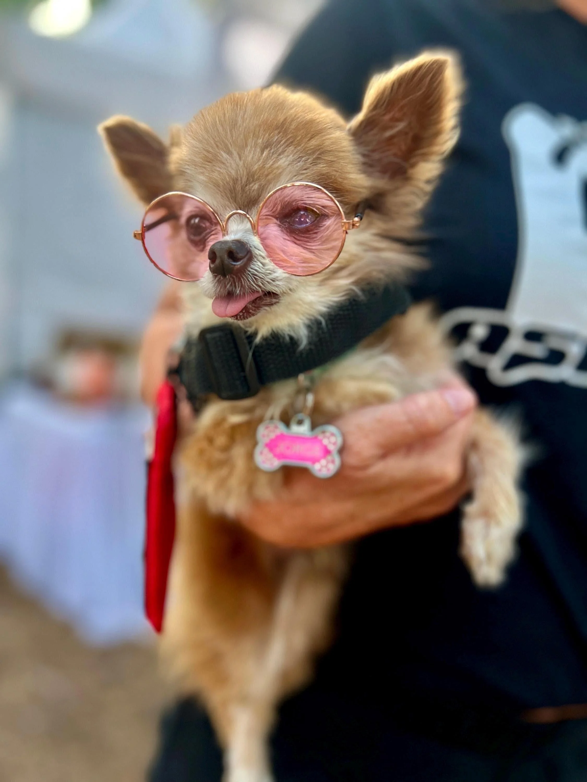 Pink dog sunglasses with adjustable black head strap and chin strap for eye protection.