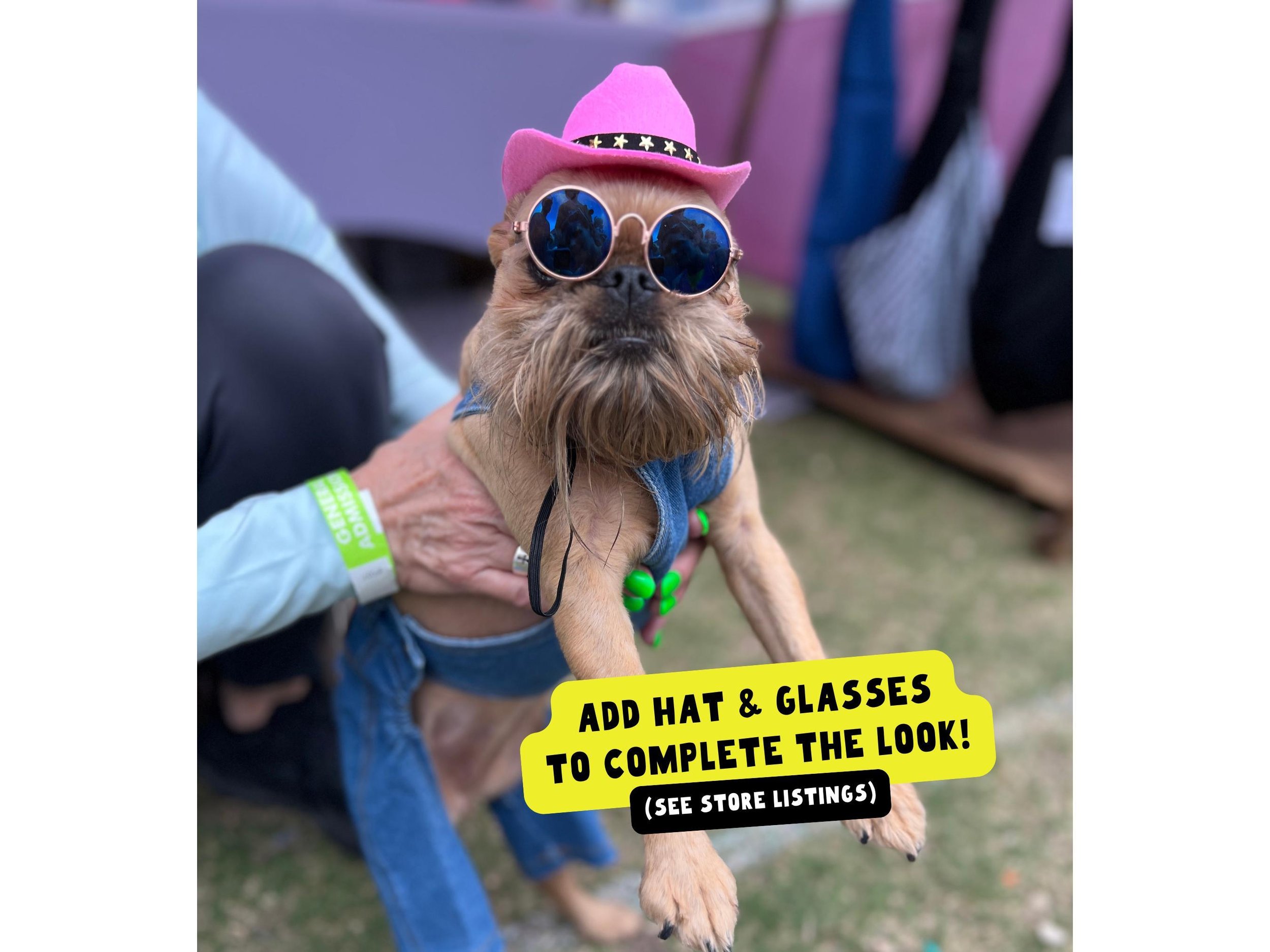 Funny dog outfit with denim overalls and small dog accessories, making a cute dog costume for Halloween