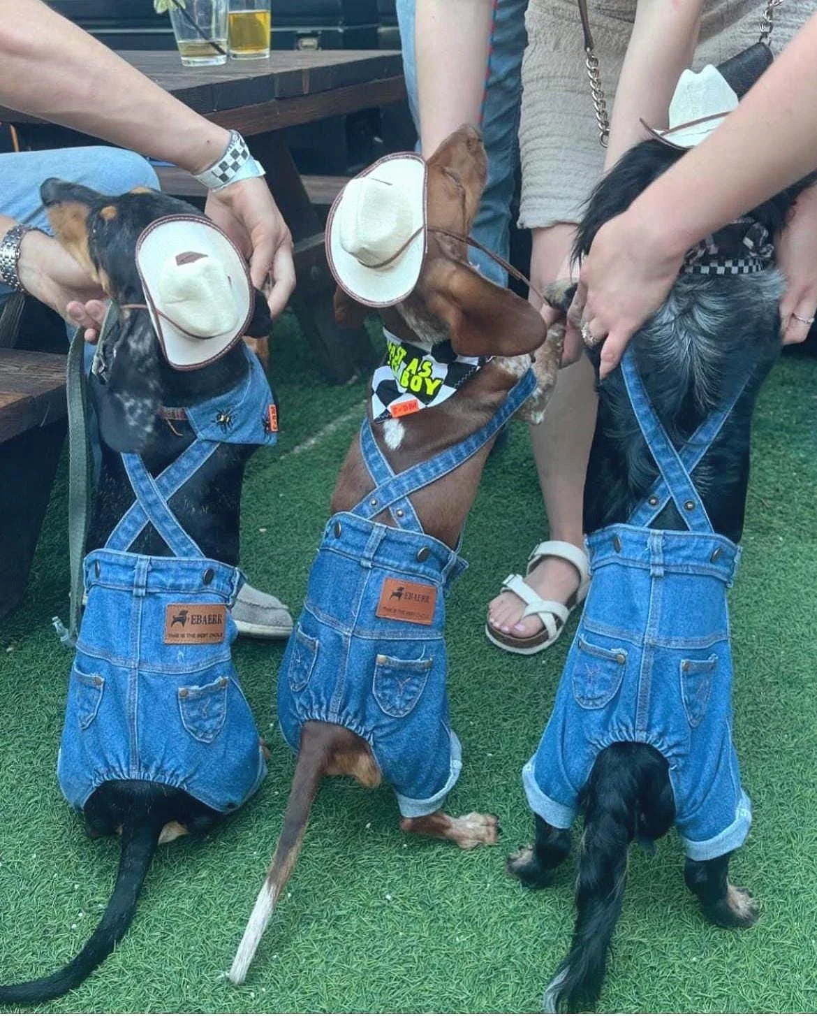Funny and adorable dog outfit with denim overalls, cowboy hat, and glasses — perfect for Halloween, pet photos, or unique gift for dog moms.