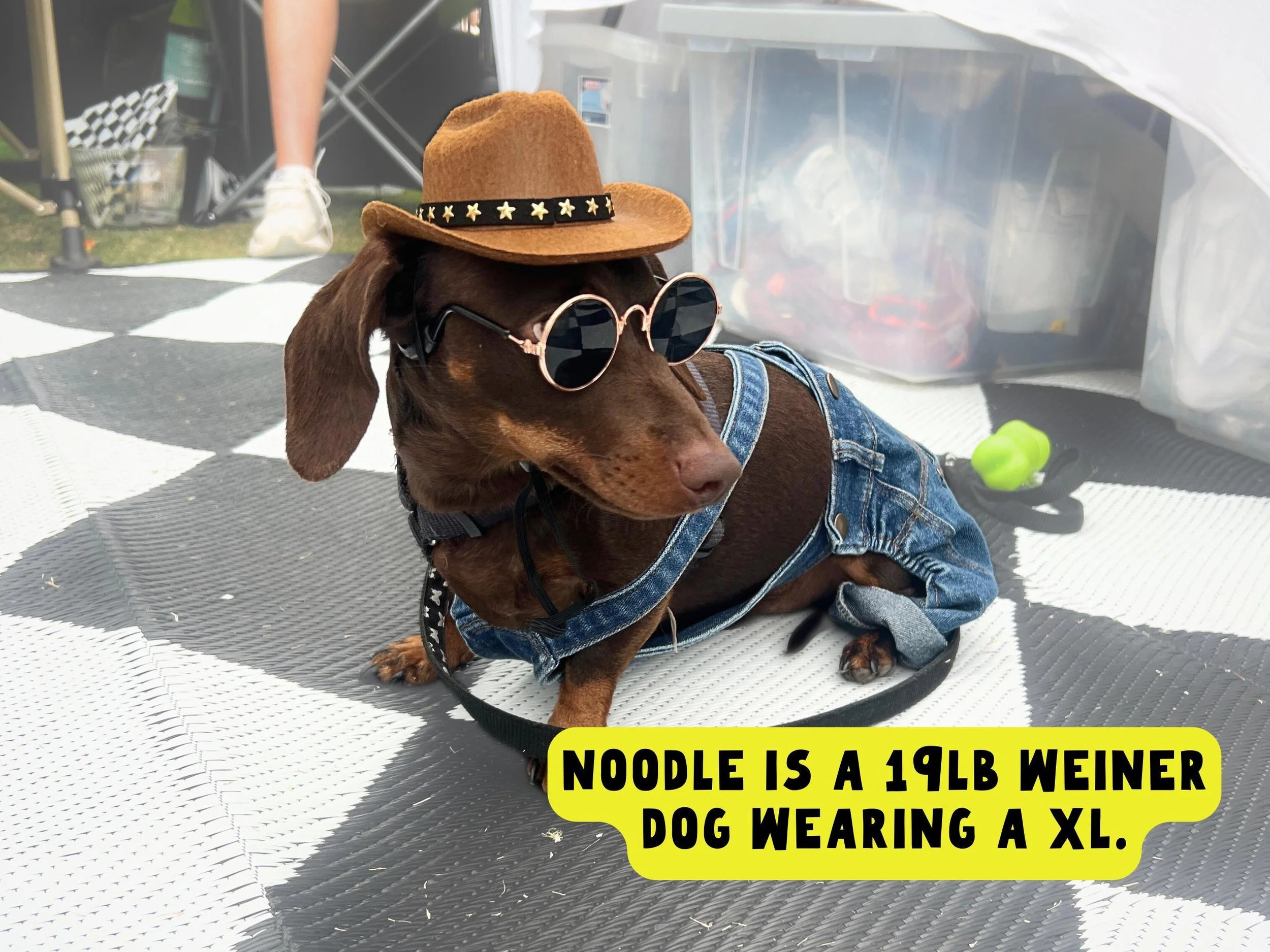 Western pet outfit bundle featuring blue denim dog overalls with gold snaps, a miniature cowboy hat, and pet sunglasses.
