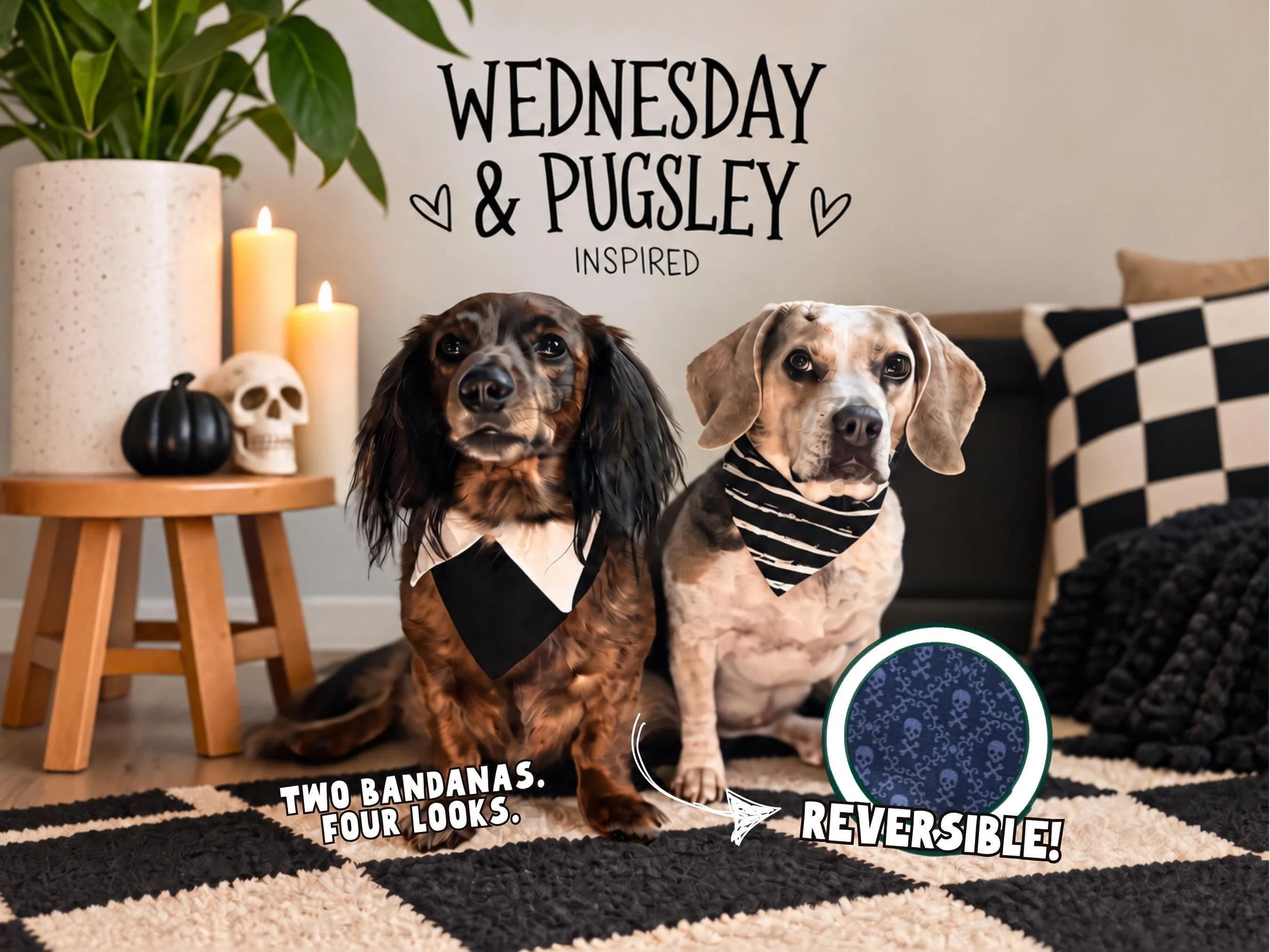 Reversible Wednesday and Pugsley inspired dog bandanas on two dogs, black collar and purple skull designs, spooky Halloween dog accessories