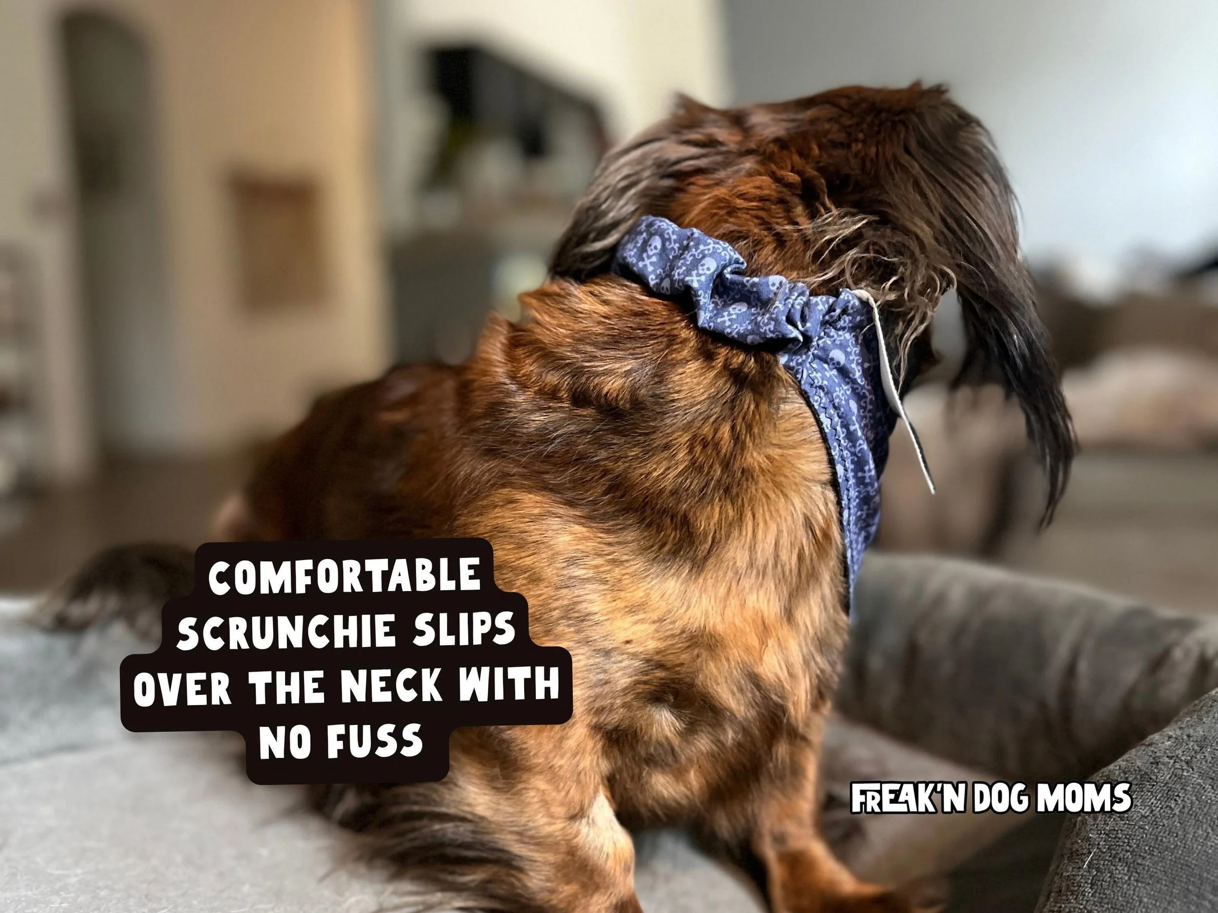 Close-up of handmade scrunchie dog bandana slipping over a dog's neck, comfortable no-tie reversible pet accessory