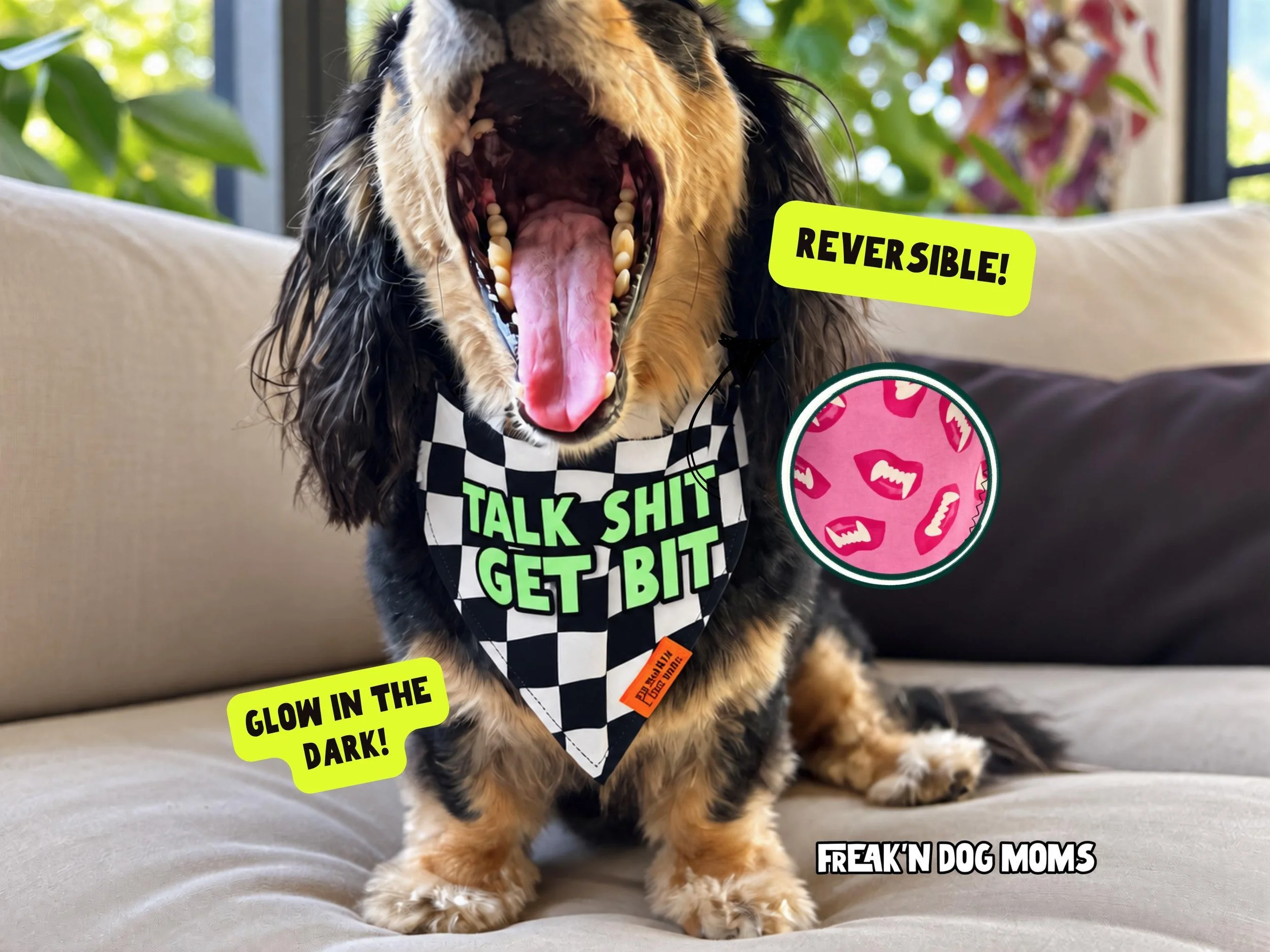 Dog wearing a reversible Halloween dog bandana with "Talk Shit Get Bit" design, spooky costume accessory with glow-in-the-dark details for Halloween and costume parties