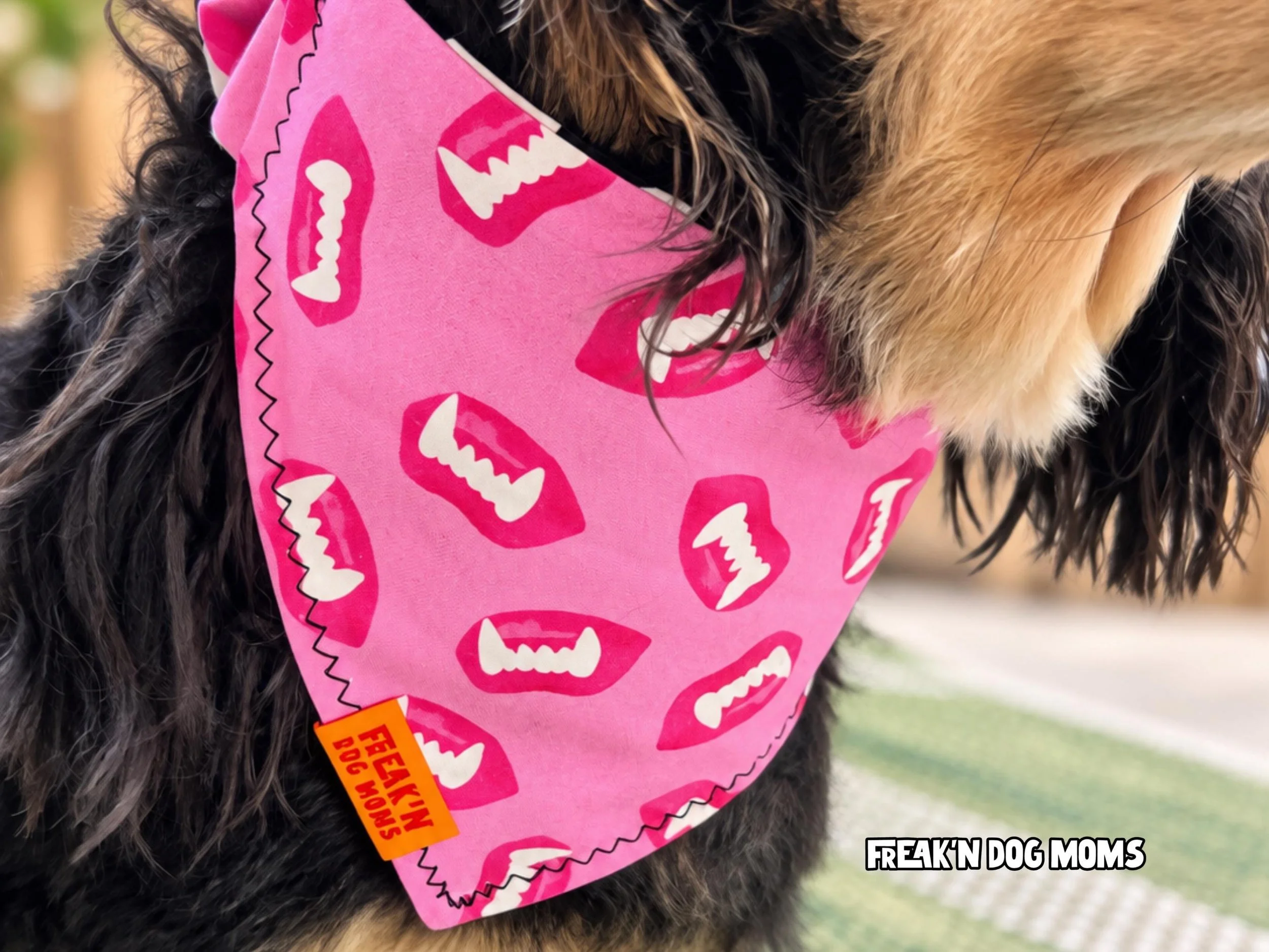Close-up of pink Halloween dog bandana covered in vampire fangs, glow-in-the-dark fabric and reversible design for a fun Halloween dog costume