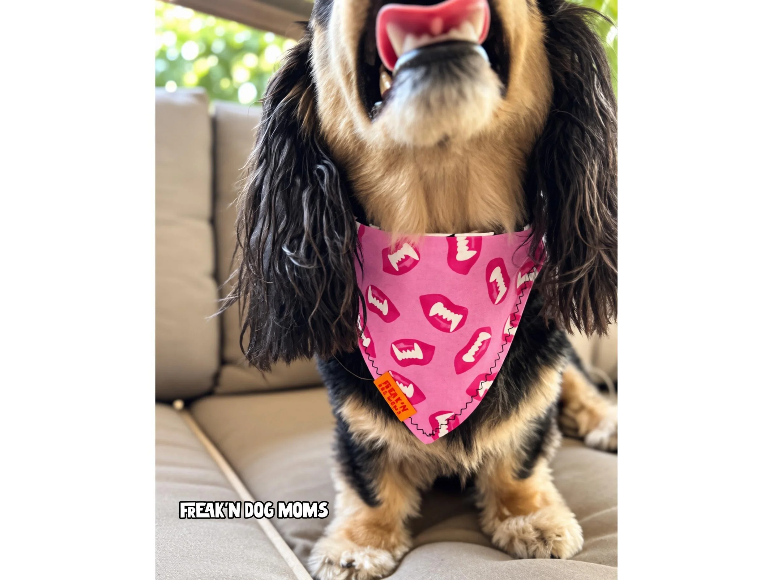 Dog wearing a pink glow-in-the-dark Halloween bandana with spooky teeth print, cute reversible dog costume accessory for Halloween parties and photos