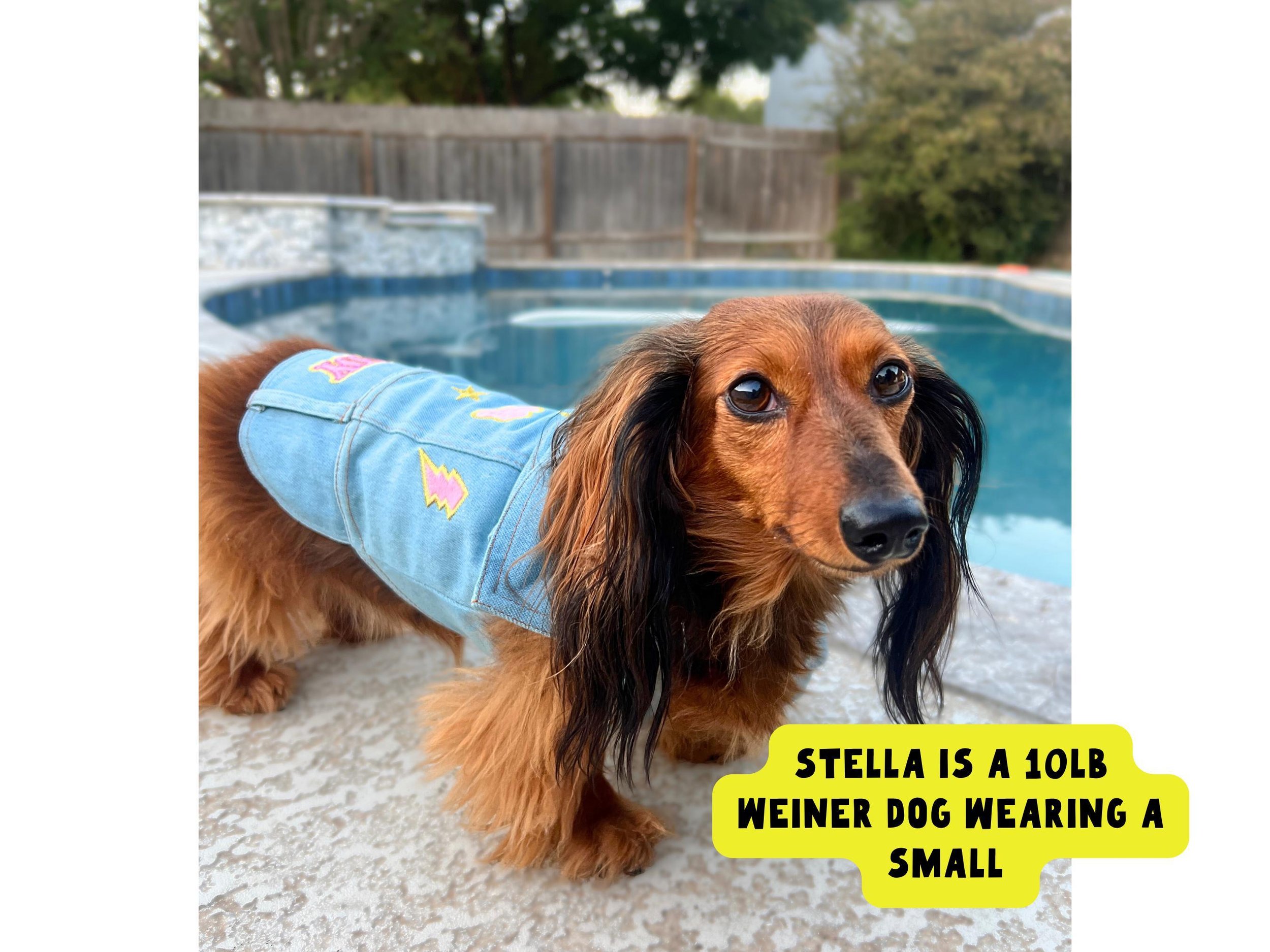 Country western denim vest for dogs – pink embroidery and Nashville flair