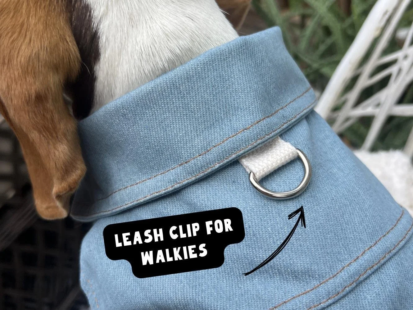 Close-up of a light blue denim dog harness with a white leash clip and a silver metal D-ring. The text "LEASH CLIP FOR WALKIES" is printed on a black label.