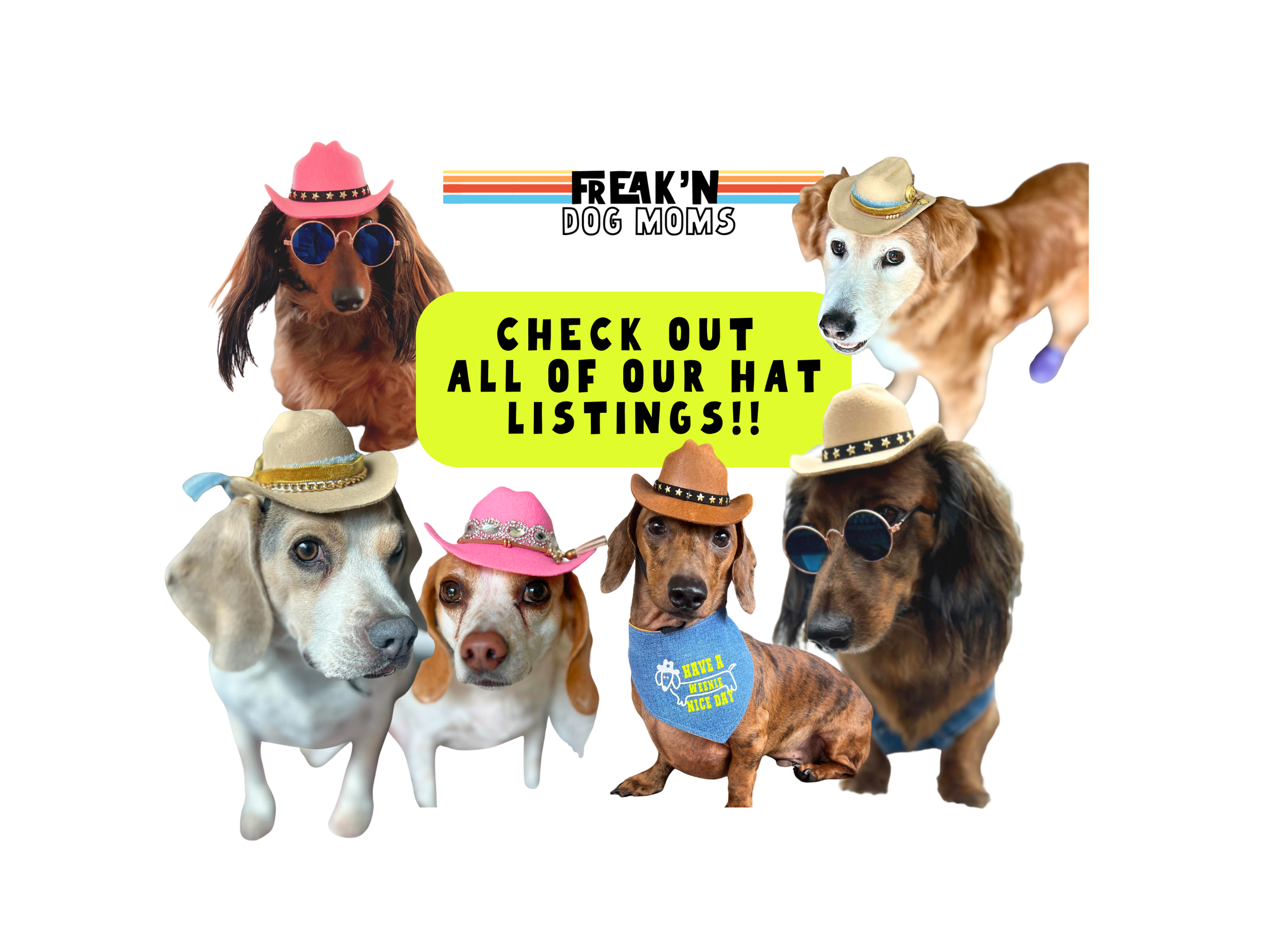 Handmade, custom cowboy hats for dogs in pink, brown, tan, black and blue.