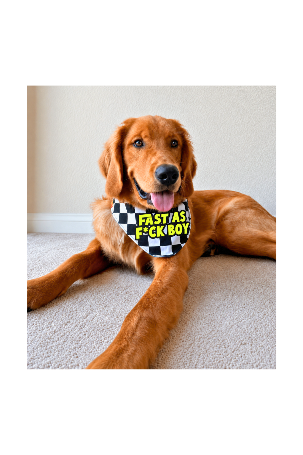 Funny dog bandana for large dogs – reversible over-the-collar or scrunchie style dog bandana  with black and white checkered print and bold "Fast As F**k Boy" text.