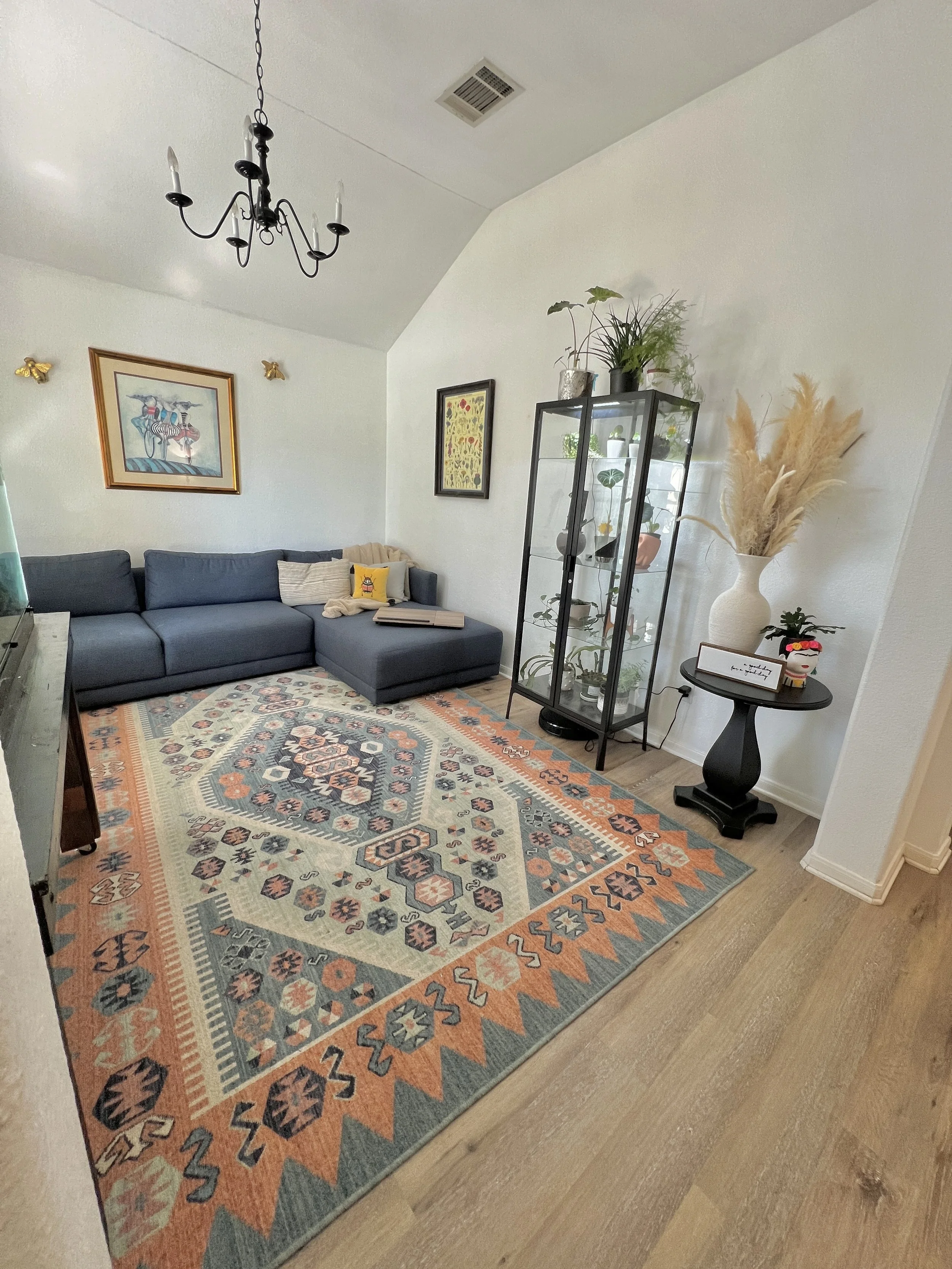 second living room for your pet to roam