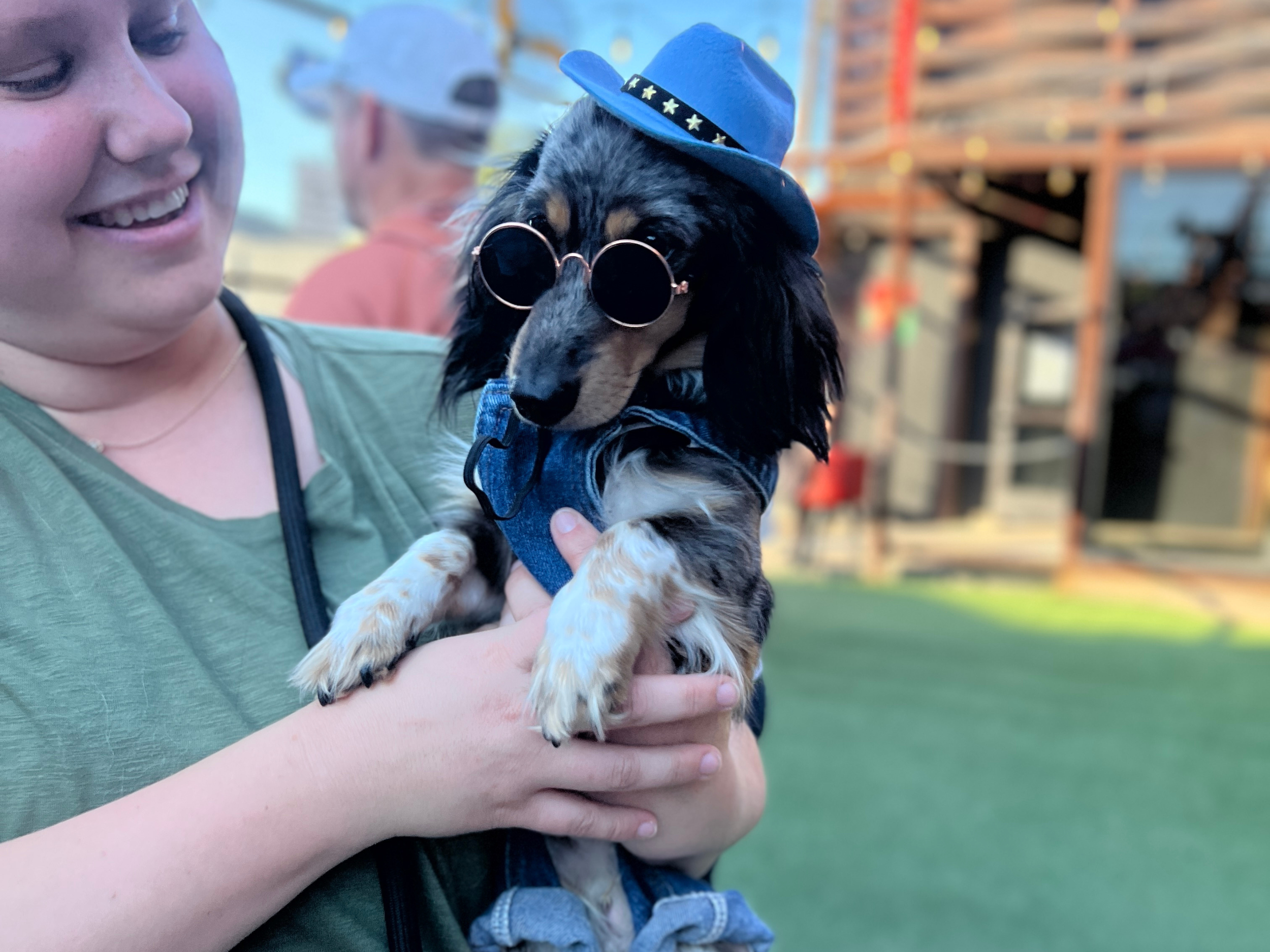 Long-haired dachshund wearing sunglasses and a blue cowboy hat for a complete western cowboy dog outfit.