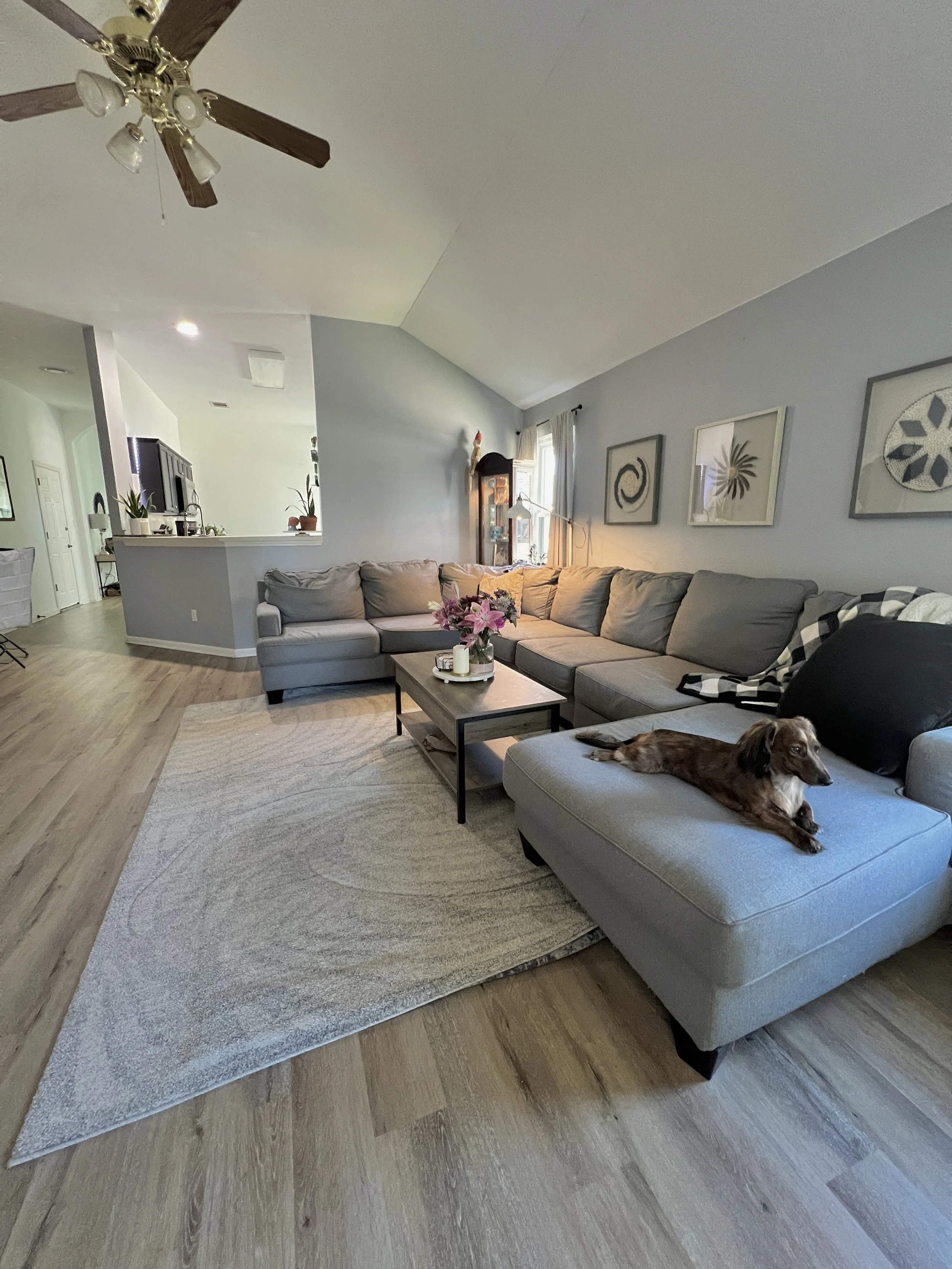 spacious clean living room with large dog friendly couch