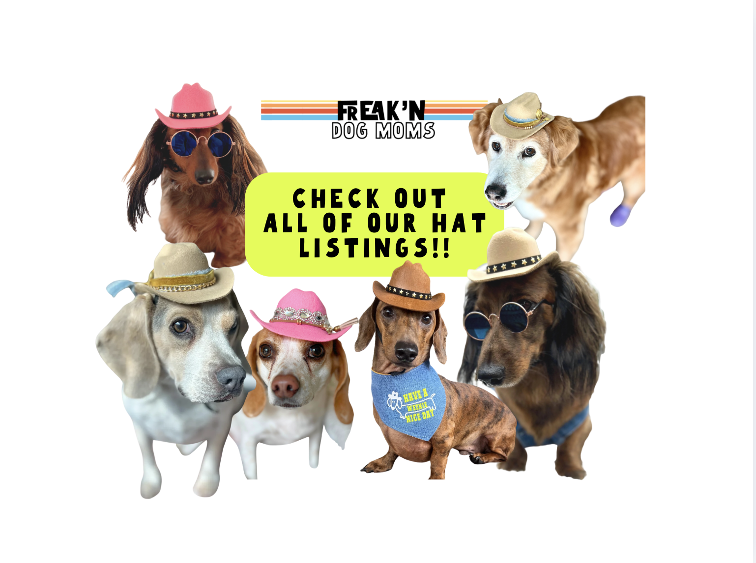 Variety of handmade, custom cowboy hats for dogs and cats in pink, brown, black and tan.