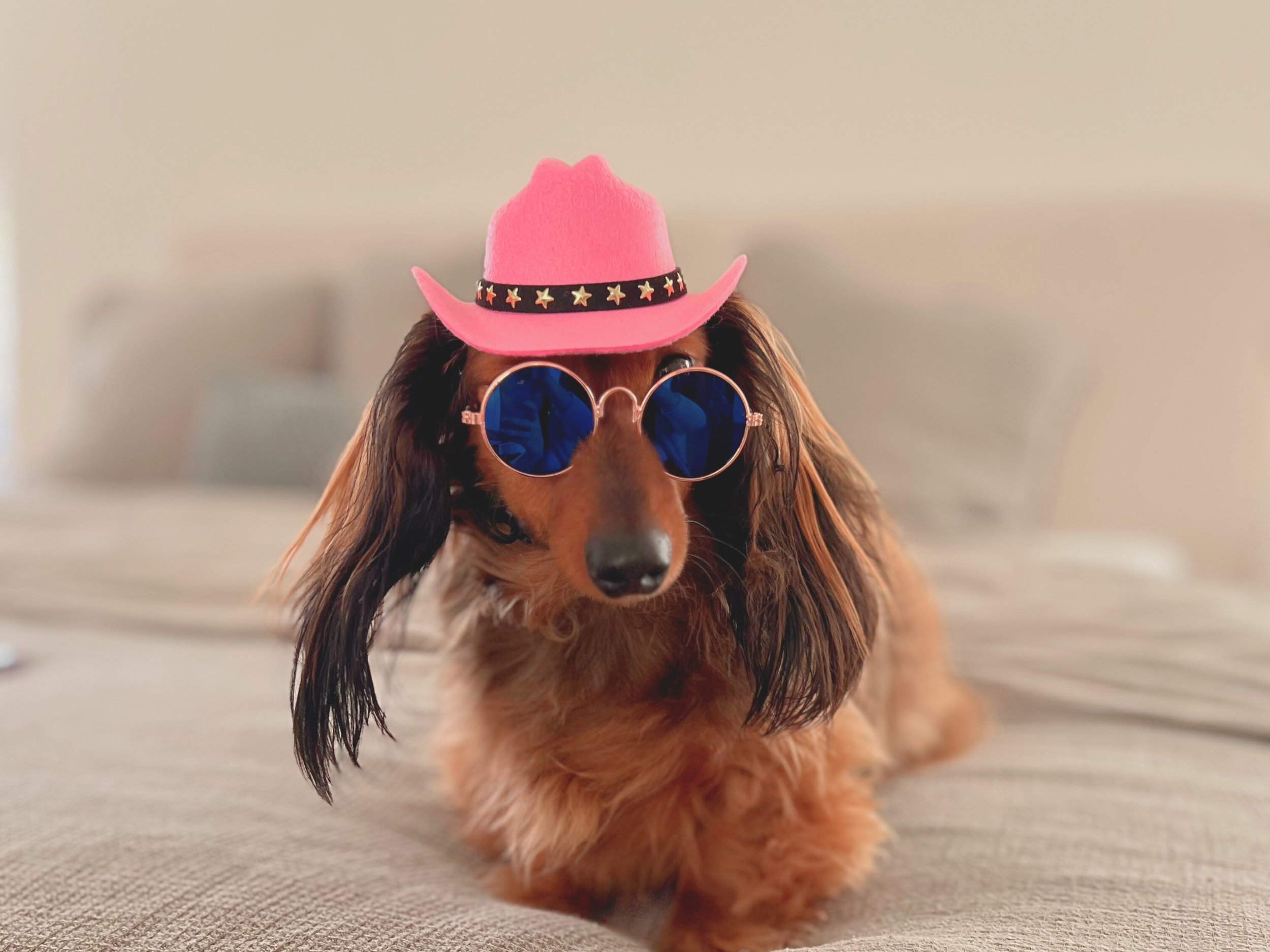 Pink Cowboy Hat for Dogs & Cats | Adjustable Dog Cowgirl Costume