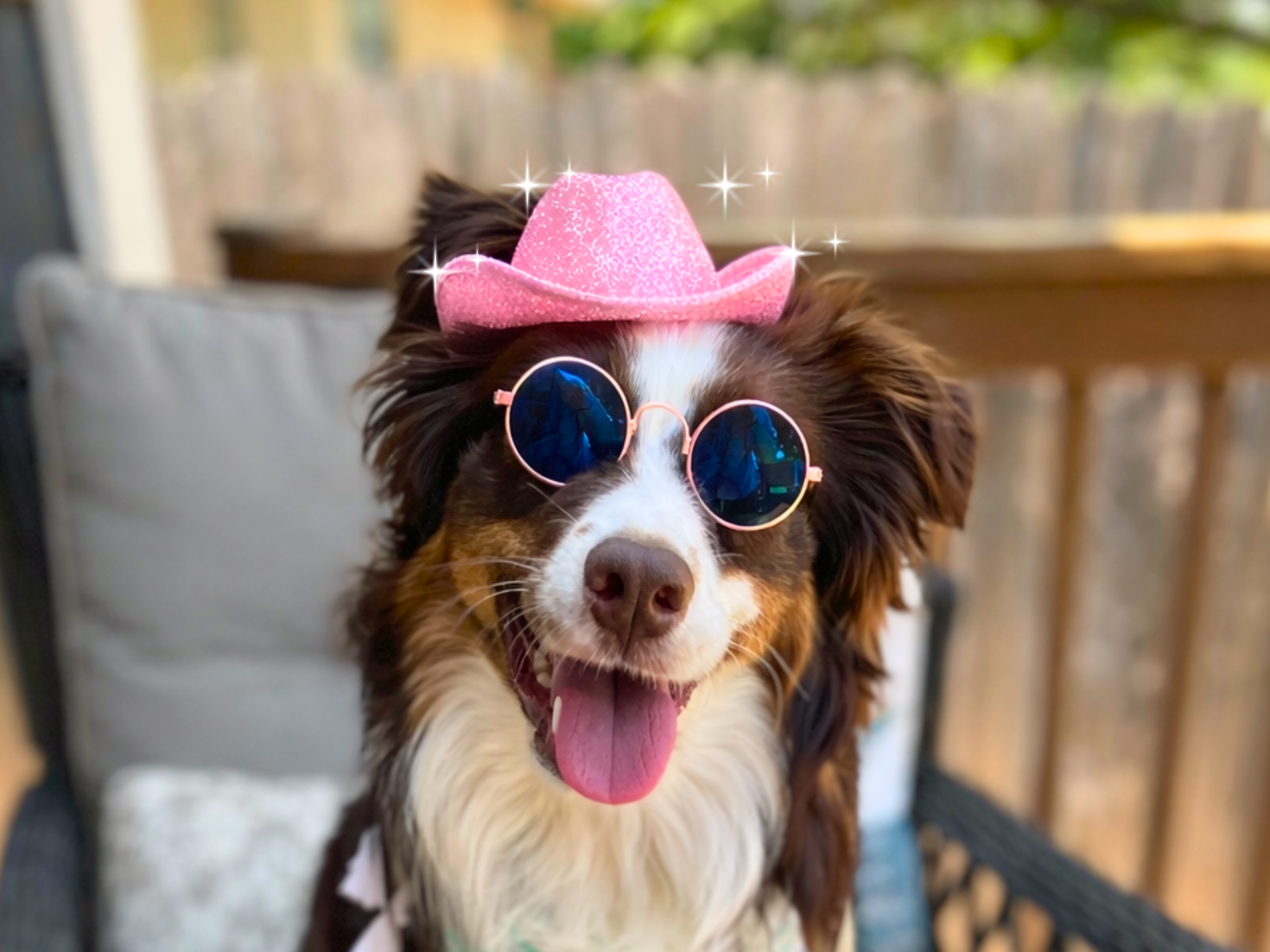 Pink Sparkly Glitter Cowboy Hat for Pets | Country Western Costume for Dogs (and Cats)!