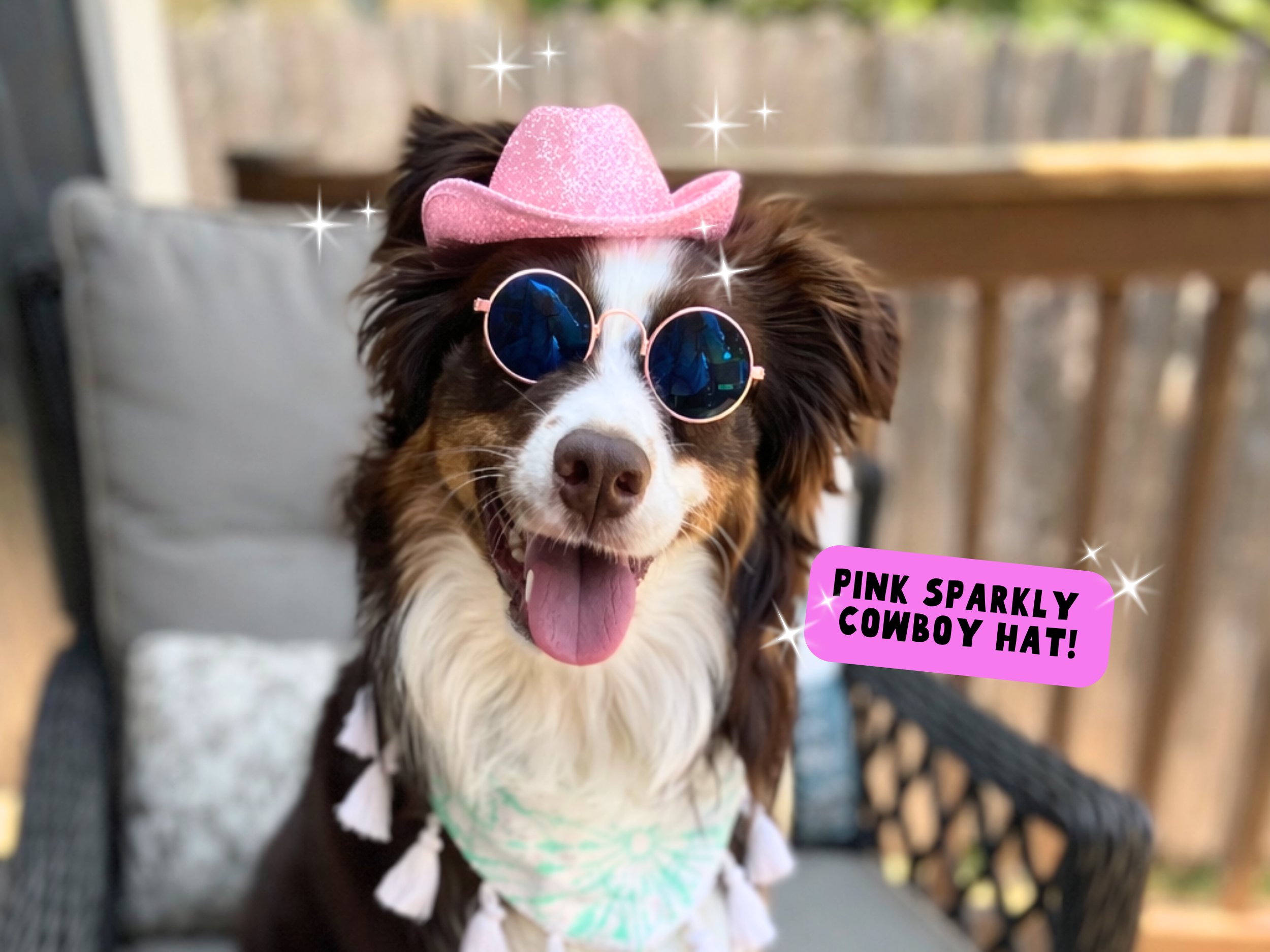 Dog wearing dolly parton inspired pink sparkly cowgirl hat
