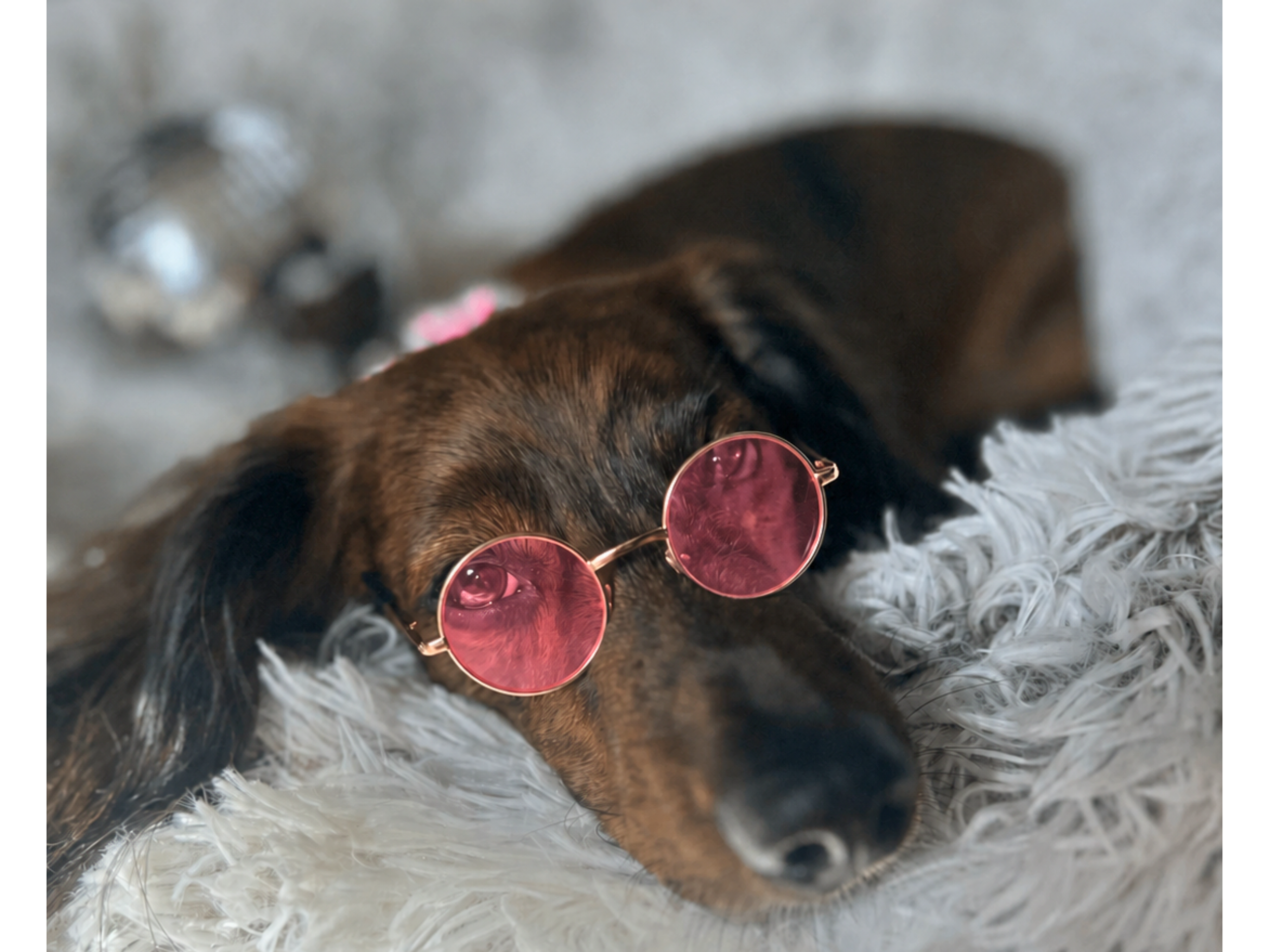 Pink Dog Sunglasses with Adjustable Strap | Small Dog & Cat Costume Accessory