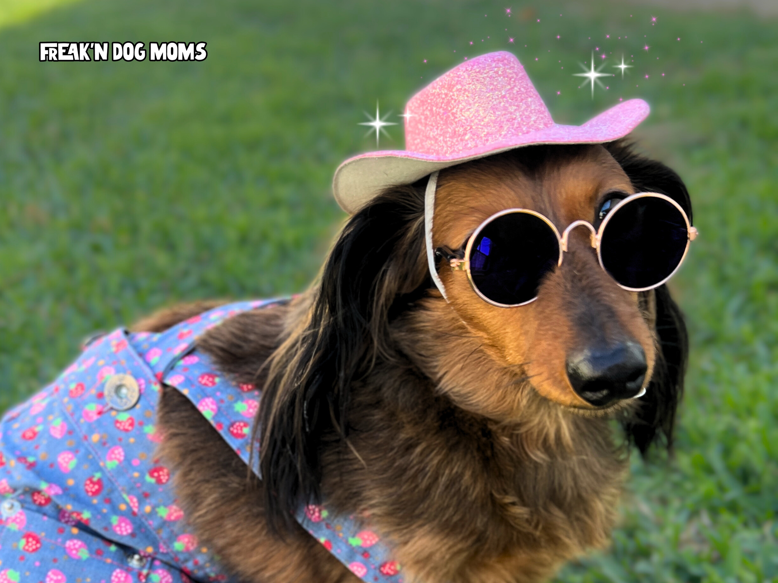 Etsy-259.png