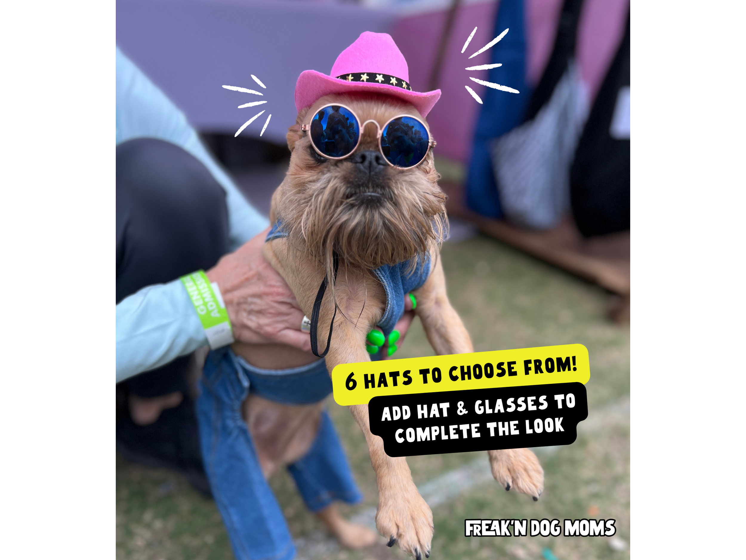 Funny dog outfit with denim overalls and small dog accessories, making a cute dog costume for Halloween