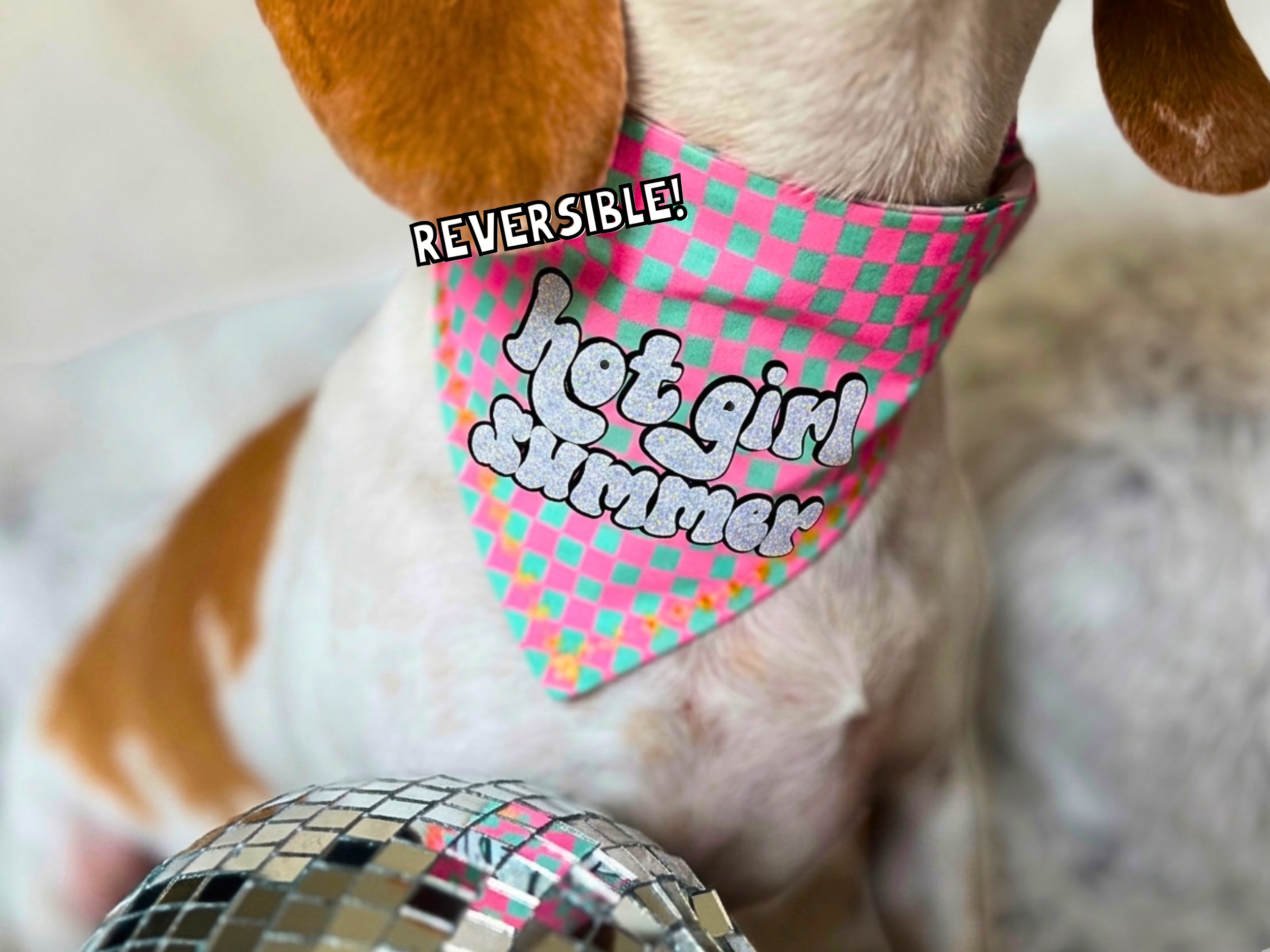"Hot Girl Summer" | Funny Dog Bandana