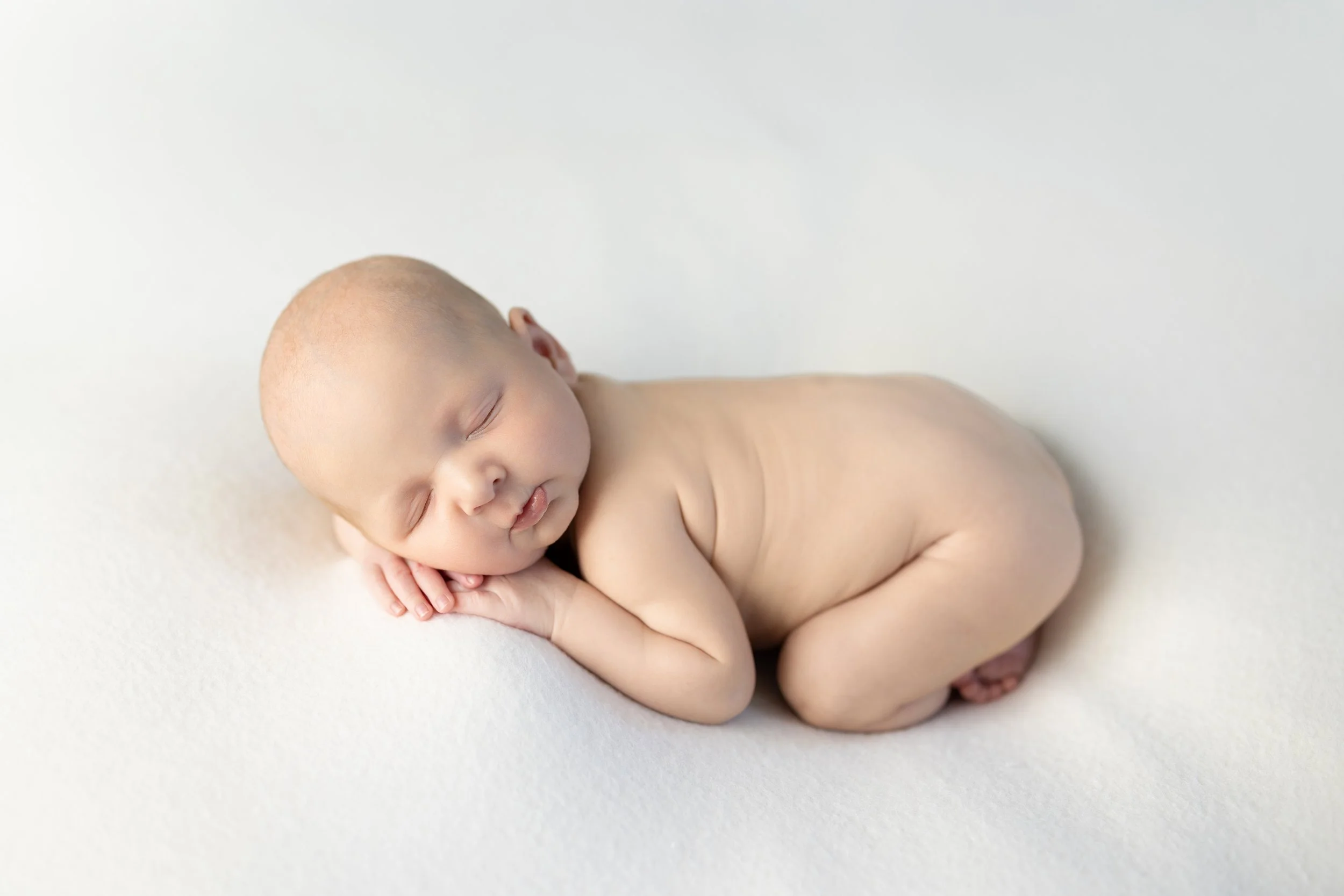 newborn baby posed on white backdrop in Dallas Texas