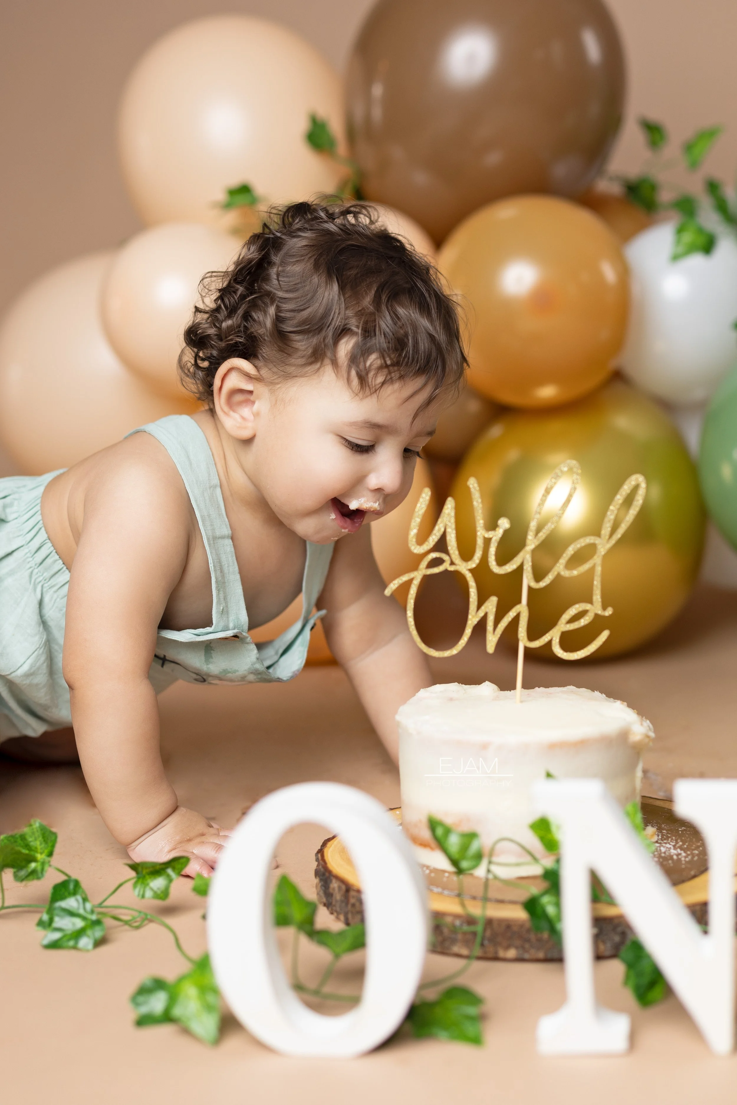DFW CAKE SMASH PHOTOGRAPHER | DALLAS CAKE SMASH PHOTOGRAPHER | FORT WORTH PHOTOGRAPHER