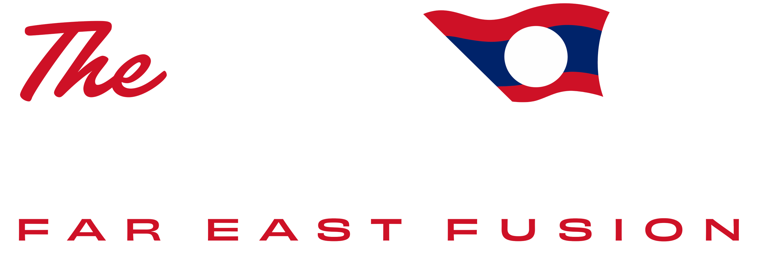 A logo with the word 'The' in red cursive text, 'Oki' with a stylized flag design in place of the letter 'k', and the phrase 'FAR EAST FUSION' in red capital letters beneath.