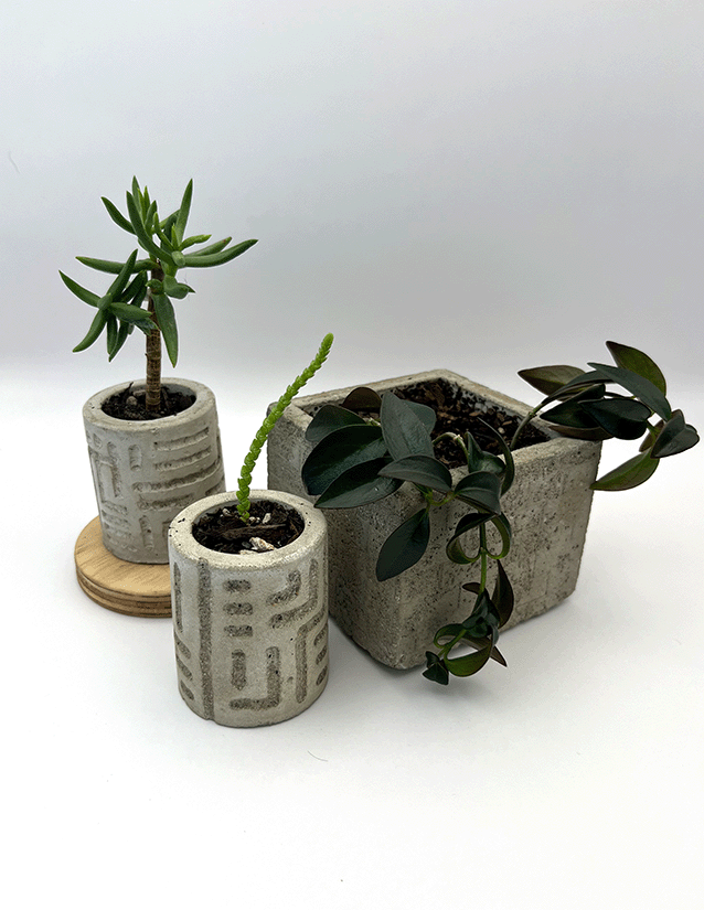 Plant Arrangement, 2024, Hand-carved Cast Cement