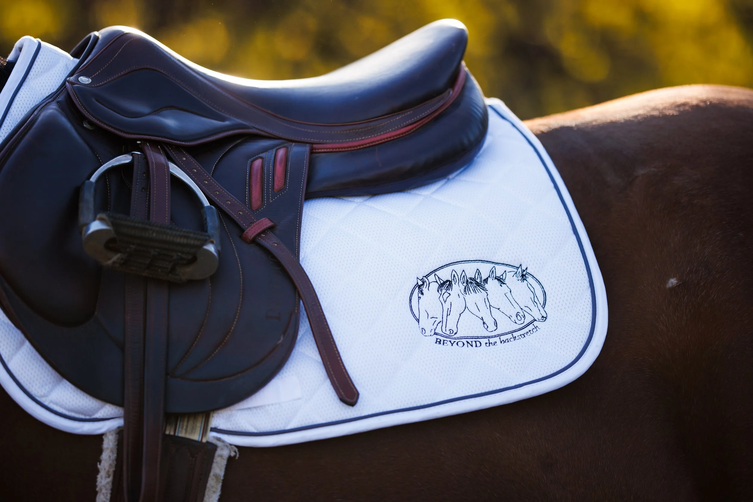 BEYOND the Backstretch: Where Participation Becomes Purpose