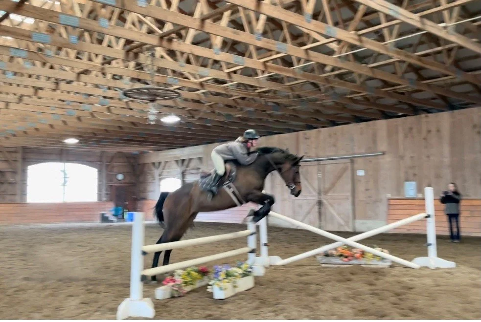 Some thoughts on purchasing OTTB’s, tire kickers, Karen’s, responsible ownership?