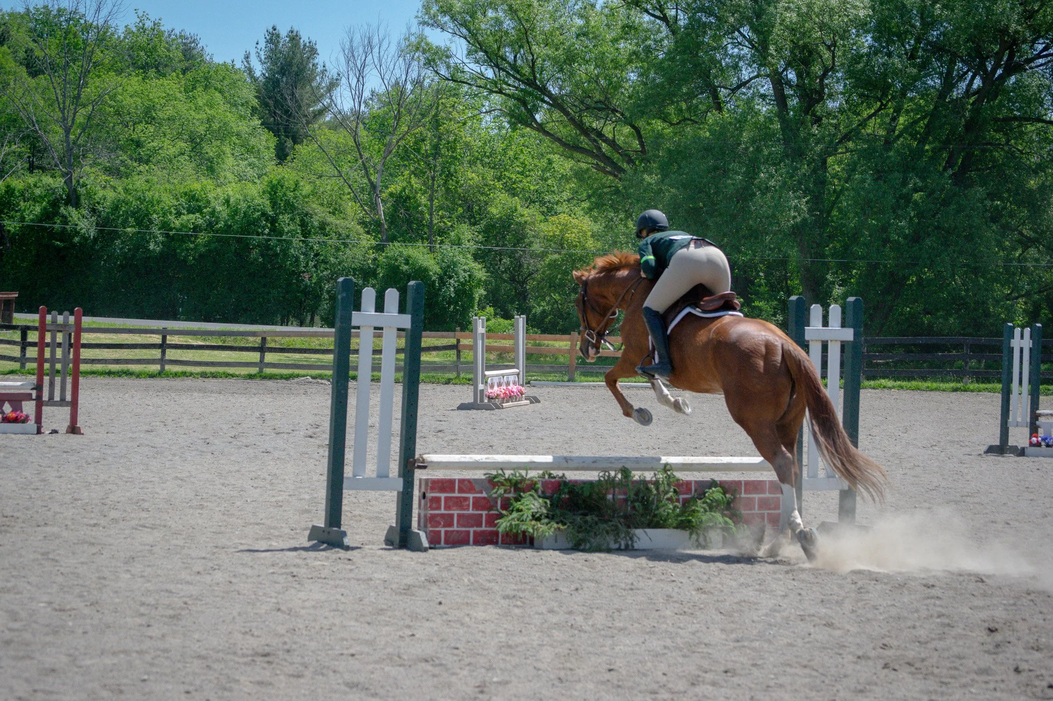 A rider on a horse jumps over an obstacle in an outdoor equestrian arena with a dirt surface, surrounded by green trees.