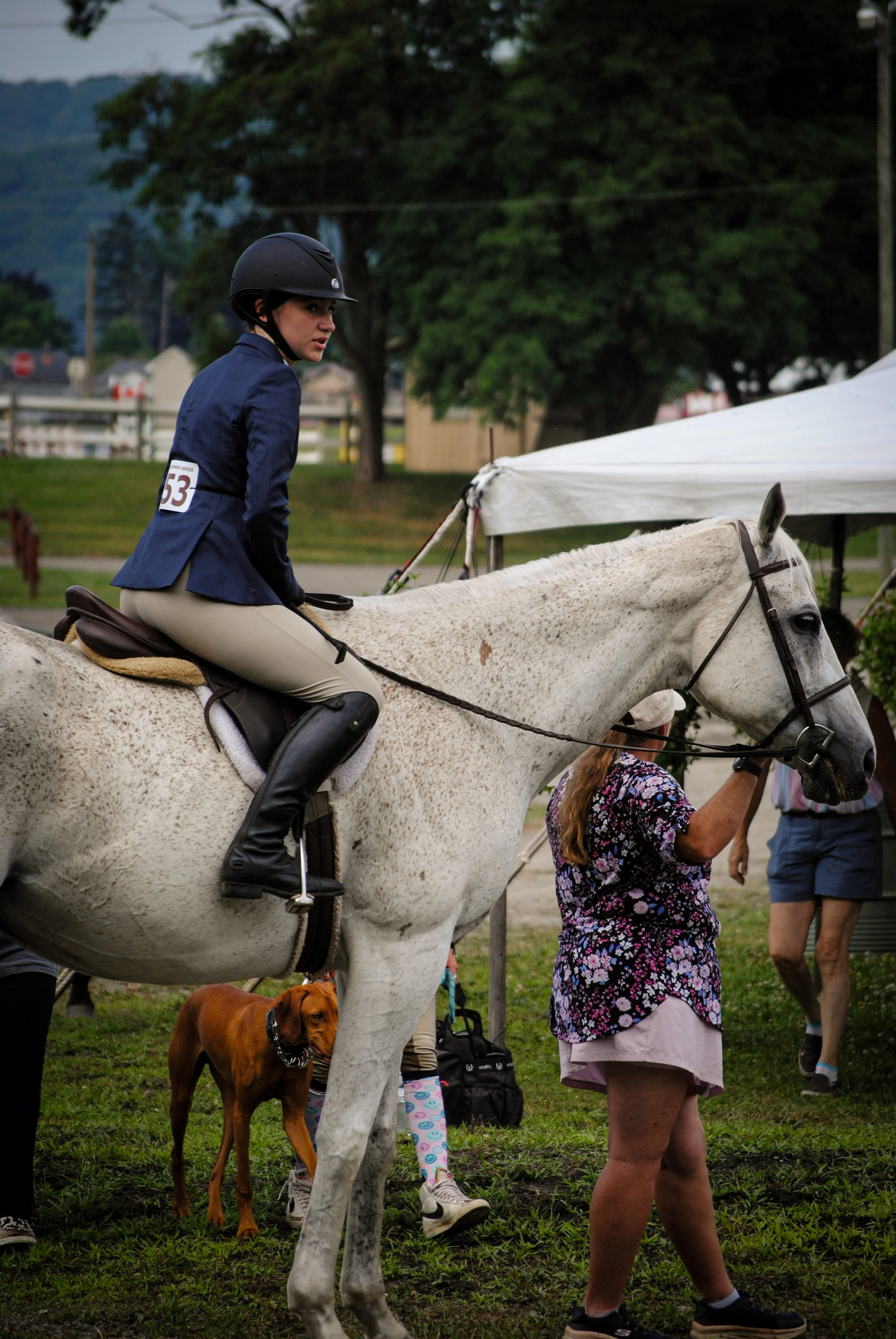 A woman riding a white horse at an outdoor event, with other people and a dog nearby, and trees and a tent in the background.