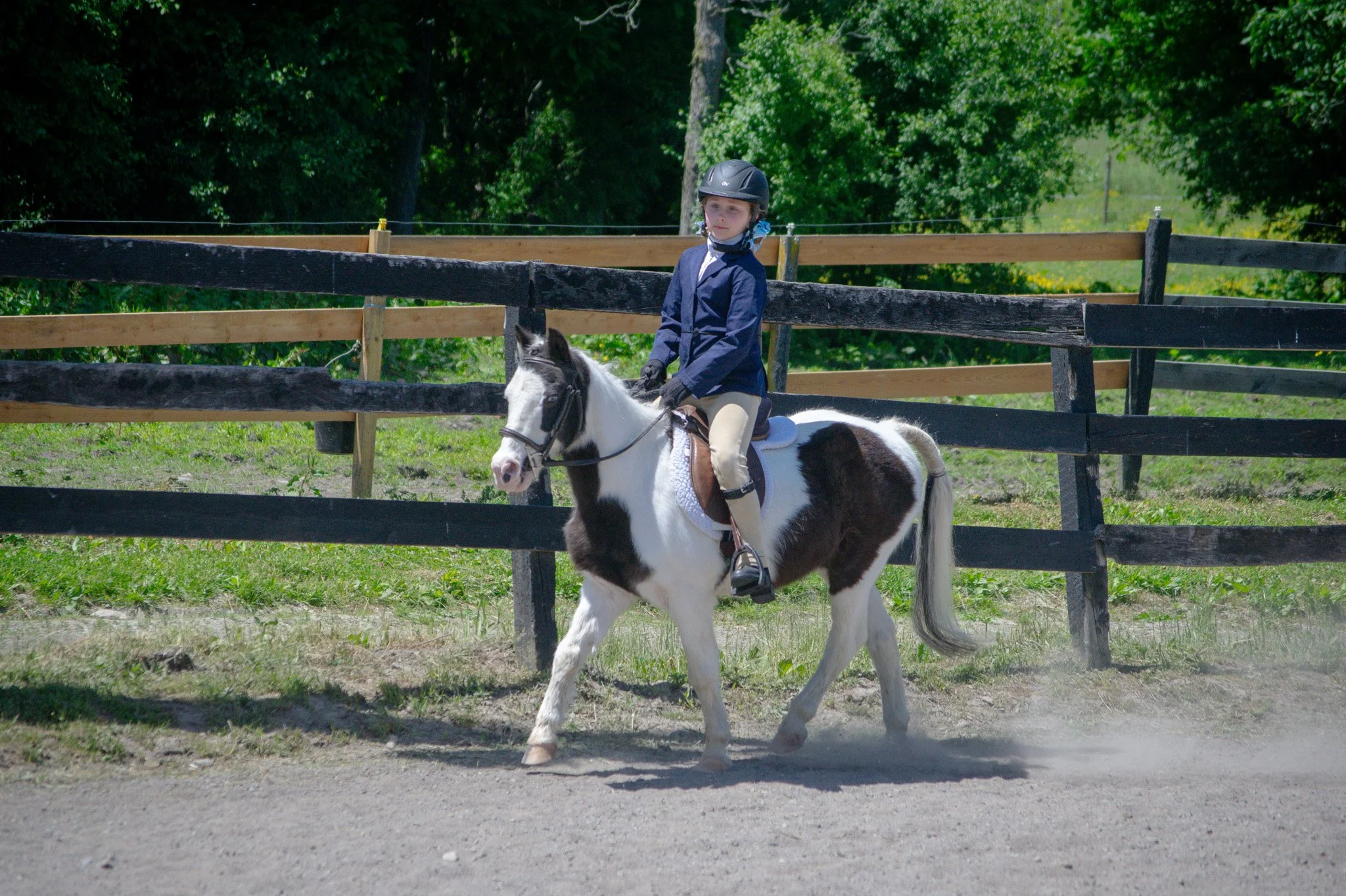 A young girl riding a black and white pinto horse on a dirt path, with a wooden fence and green foliage in the background.