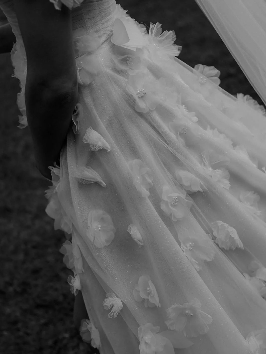 A beautiful day at @crystalbrookbyron for Monica and Luke ♥️
These gorgeous images by the talented Konrad @tropical.romance 
A heartfelt ceremony by lovely @leisaottleycelebrant & stunning florals by @wildernessflowers_ 
Venue @crystalb