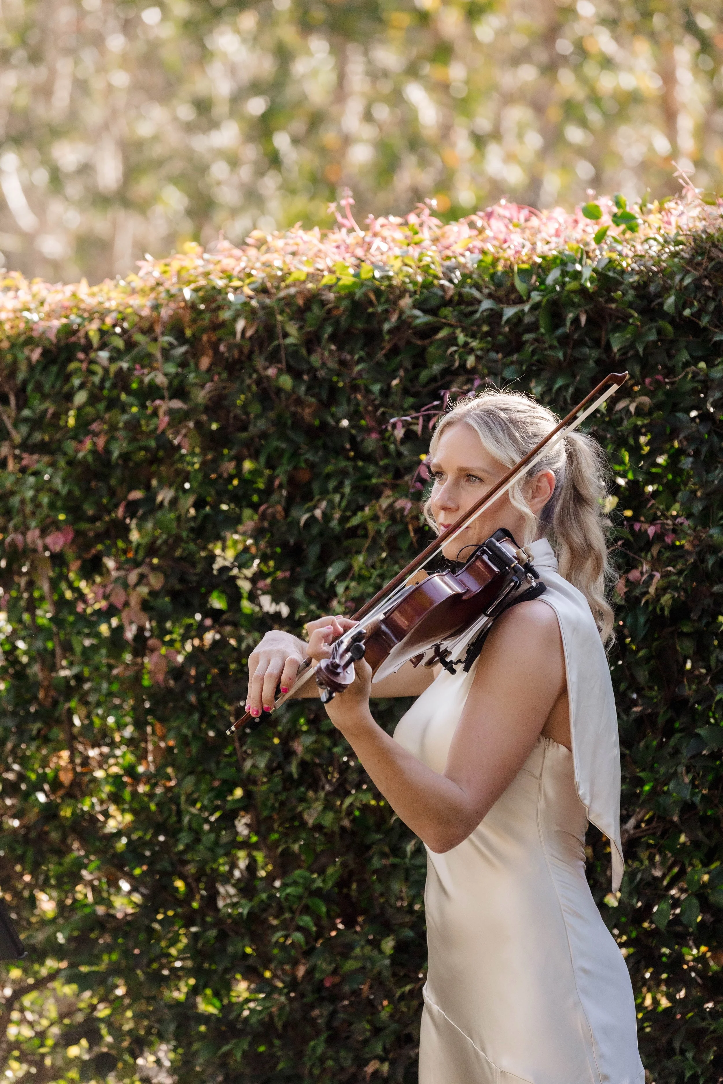 Gold Coast wedding musician playing violin at luxury venue