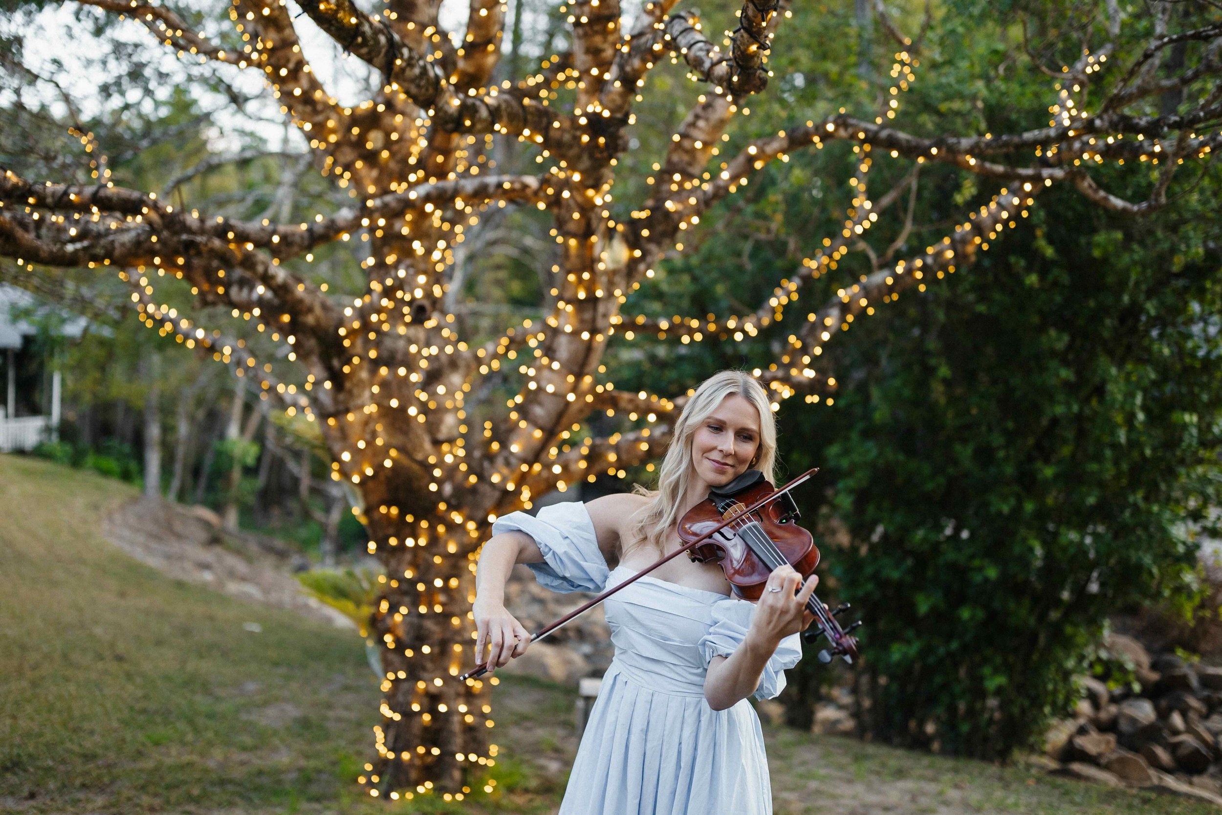 Lauren Bradnam Violinist wearing a blue dress playing a violin outdoors near a tree decorated with string lights at Kwila Lodge on the Gold Coast.