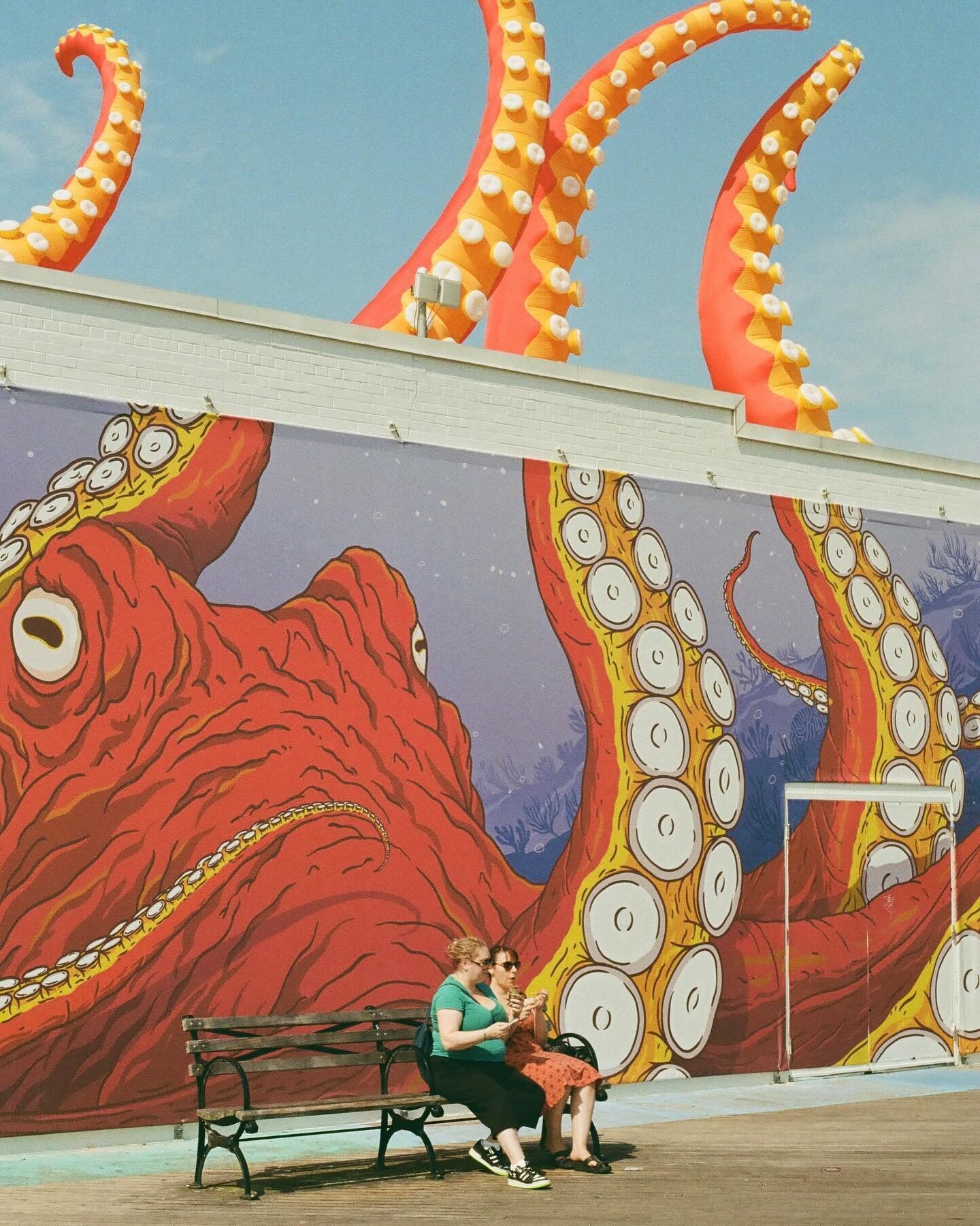 Let no joyful voice be heard! Let no man look up at the sky with hope! And let this day be cursed by we who ready to wake... the Kraken!

#photography #35mm #analog #film #kodakgold200 #kodak #kodakgold #canona1 #canon #nyc #beach #streetphotography 