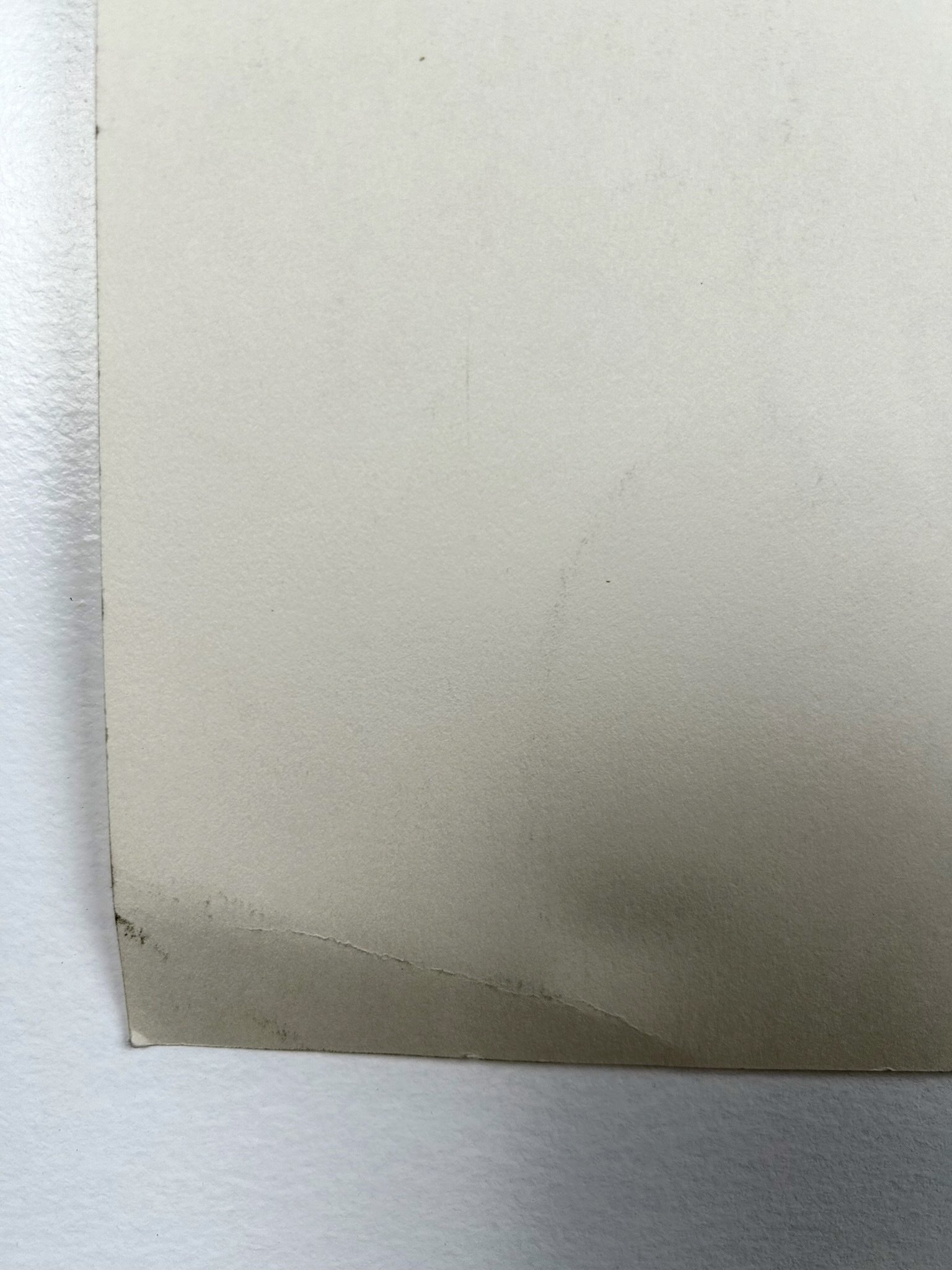 AE3286BC-C50B-49F2-97D0-9D5DF2170F97.jpeg