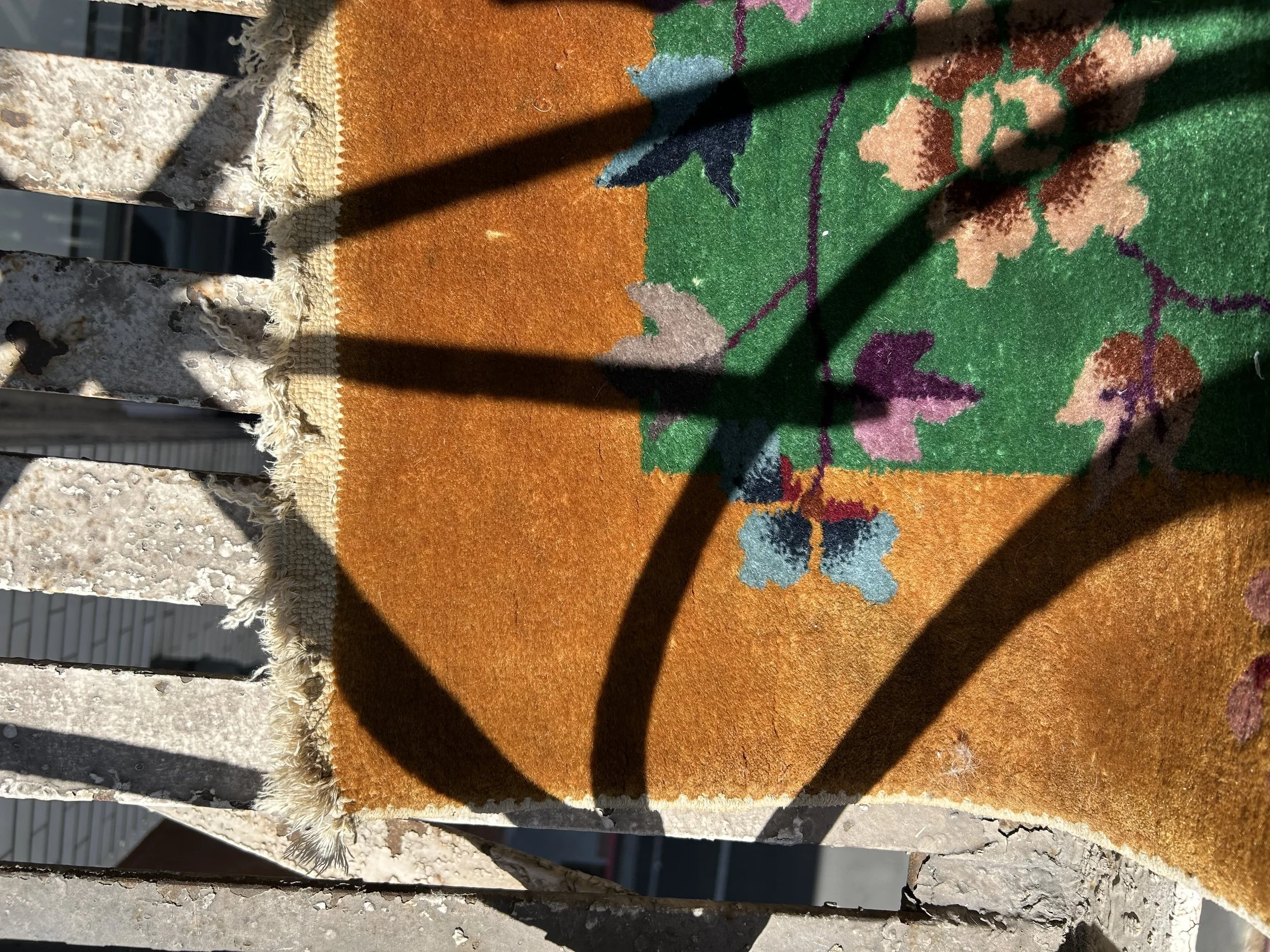 IMG_5366.jpeg