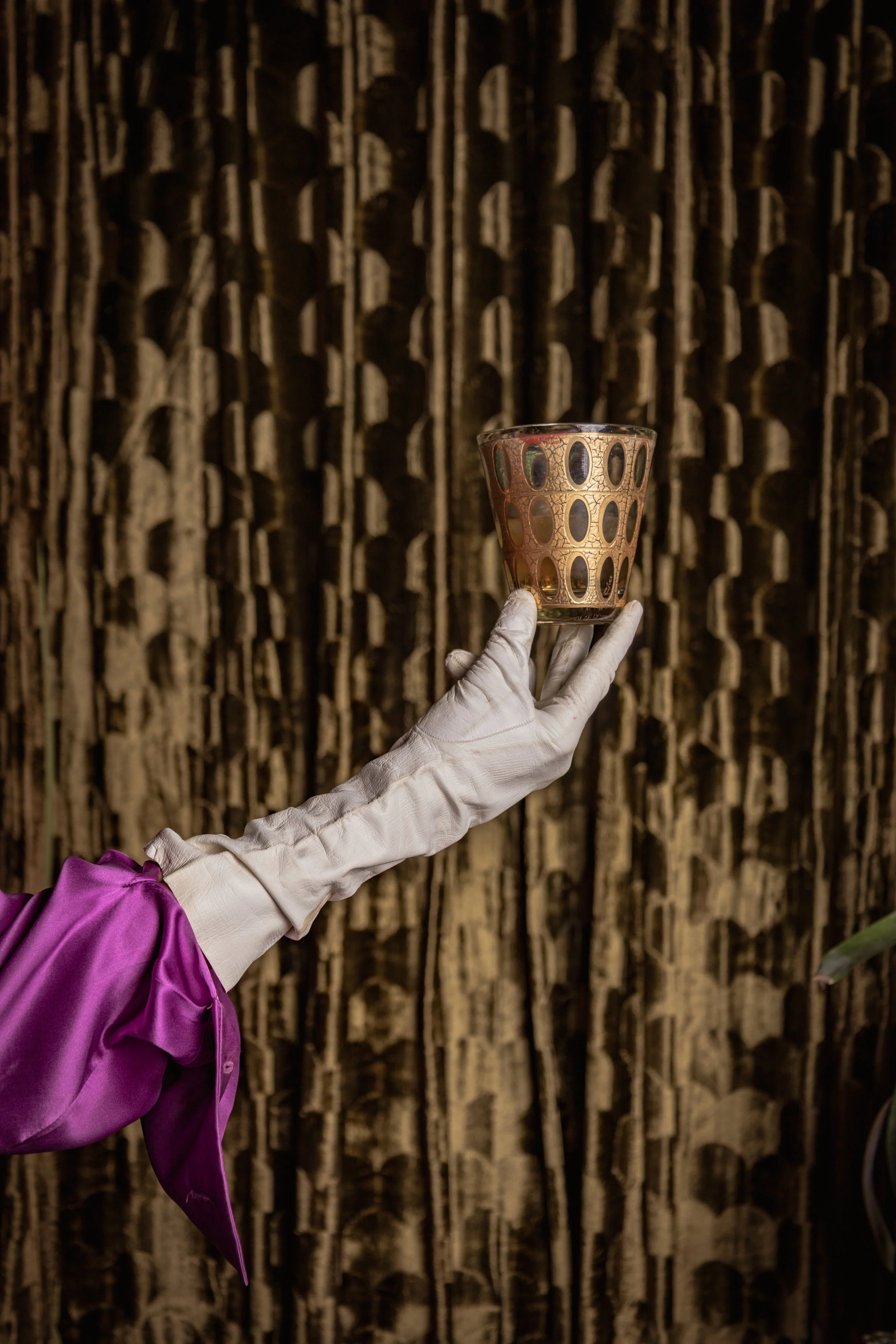 COCKATOO-634.jpg