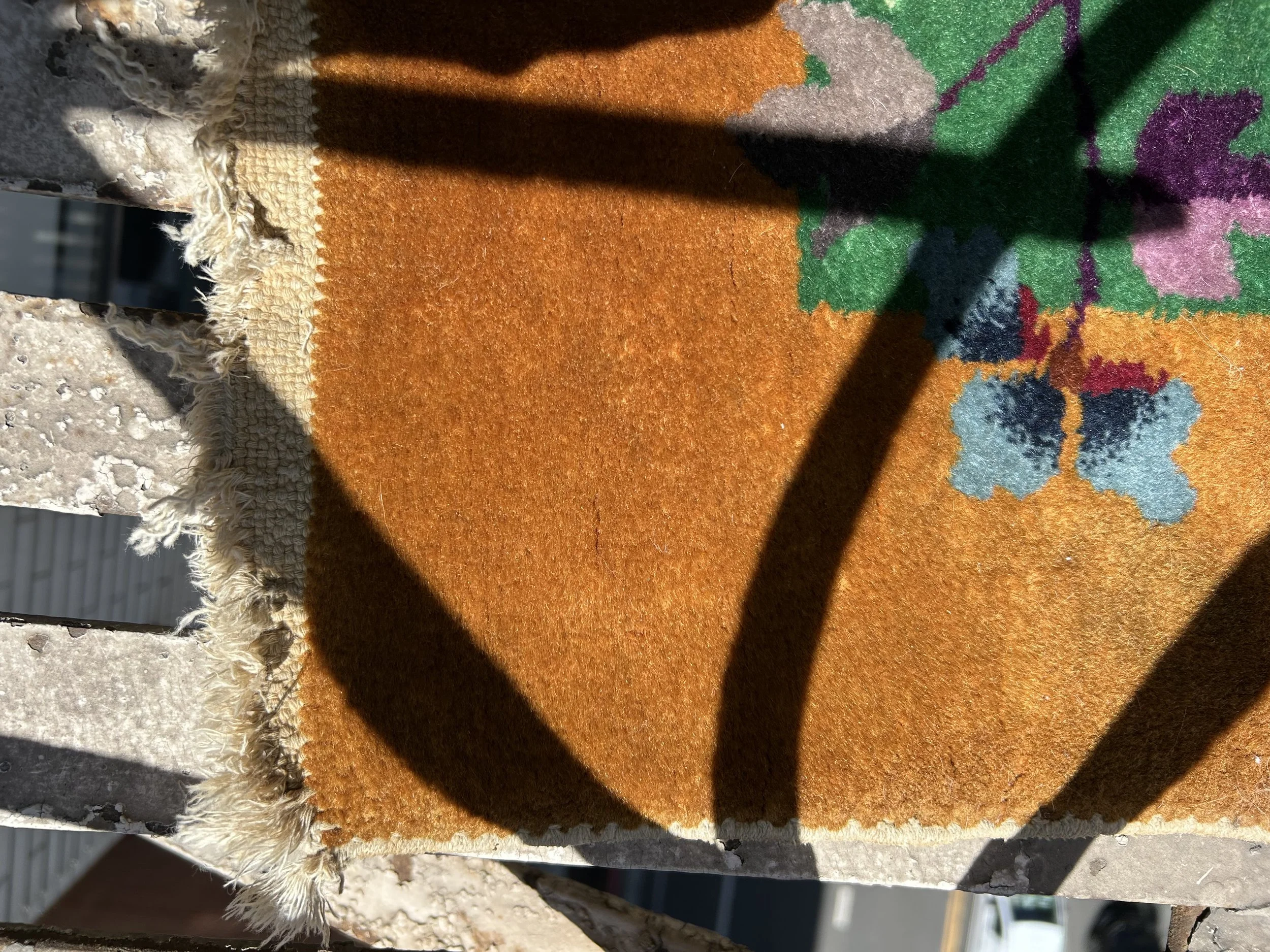 IMG_5365.jpeg