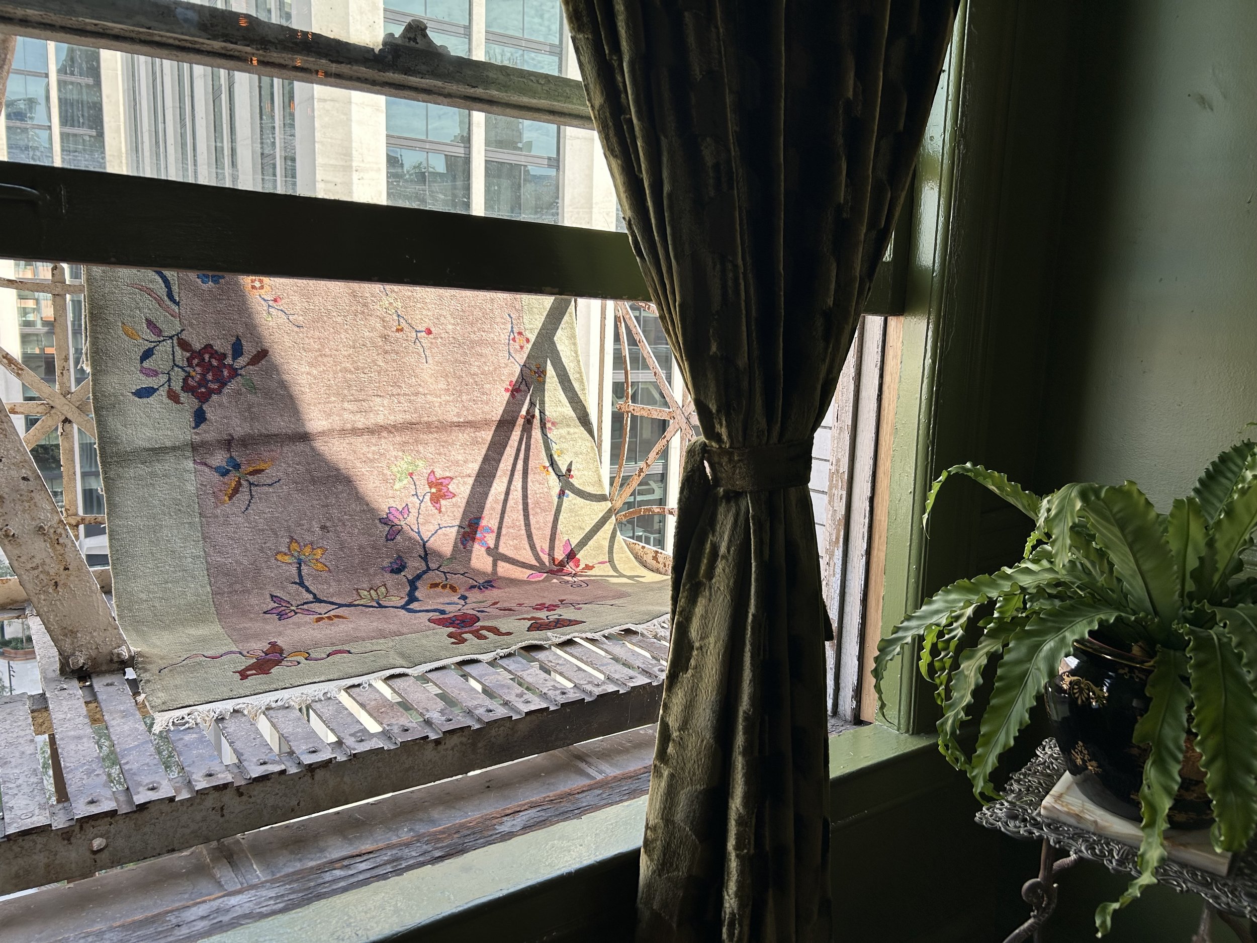 IMG_5383.jpeg