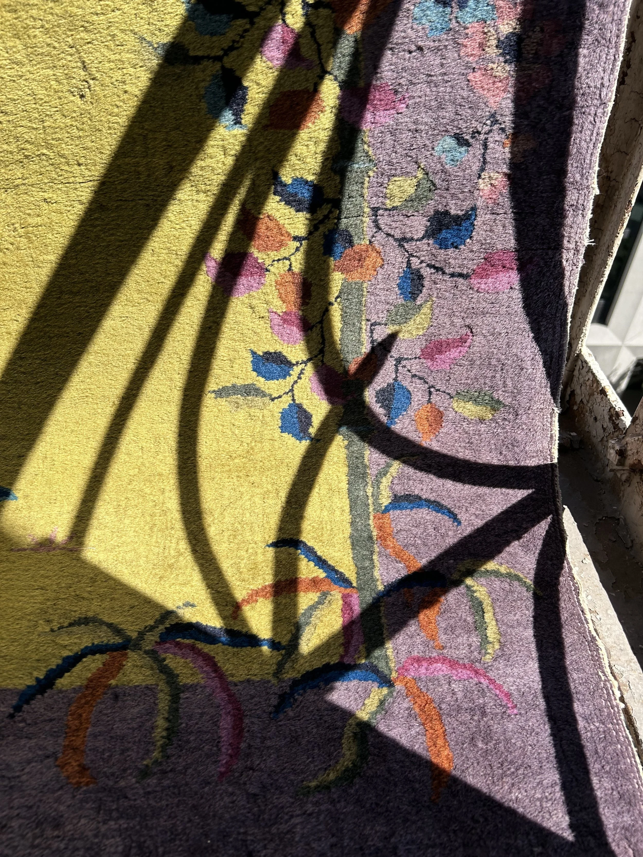 IMG_5342.jpeg