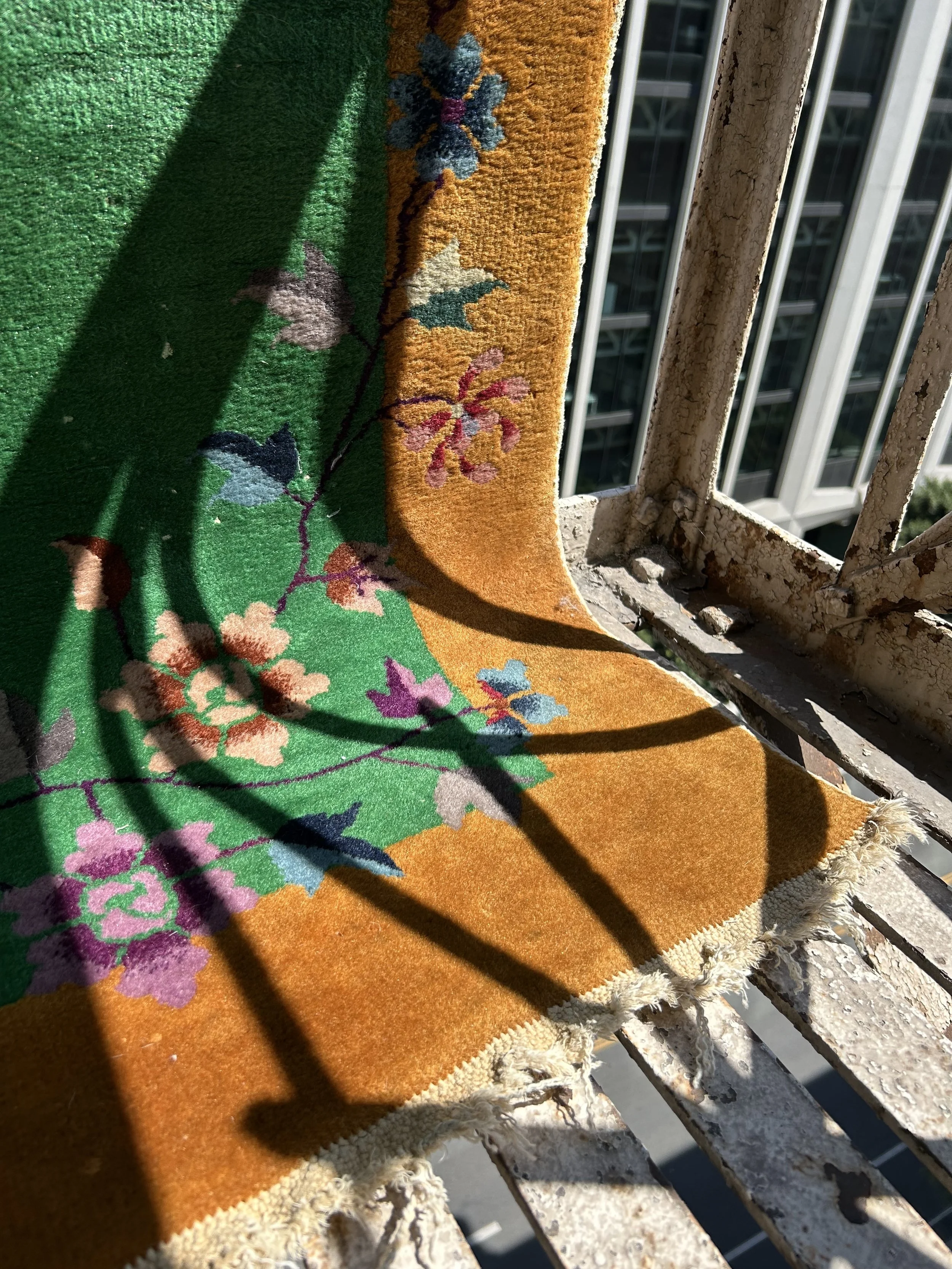 IMG_5364.jpeg