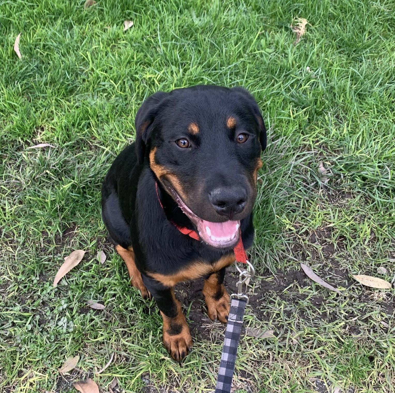 Screen Shot 2023-04-11 at 2.44.55 pm.png