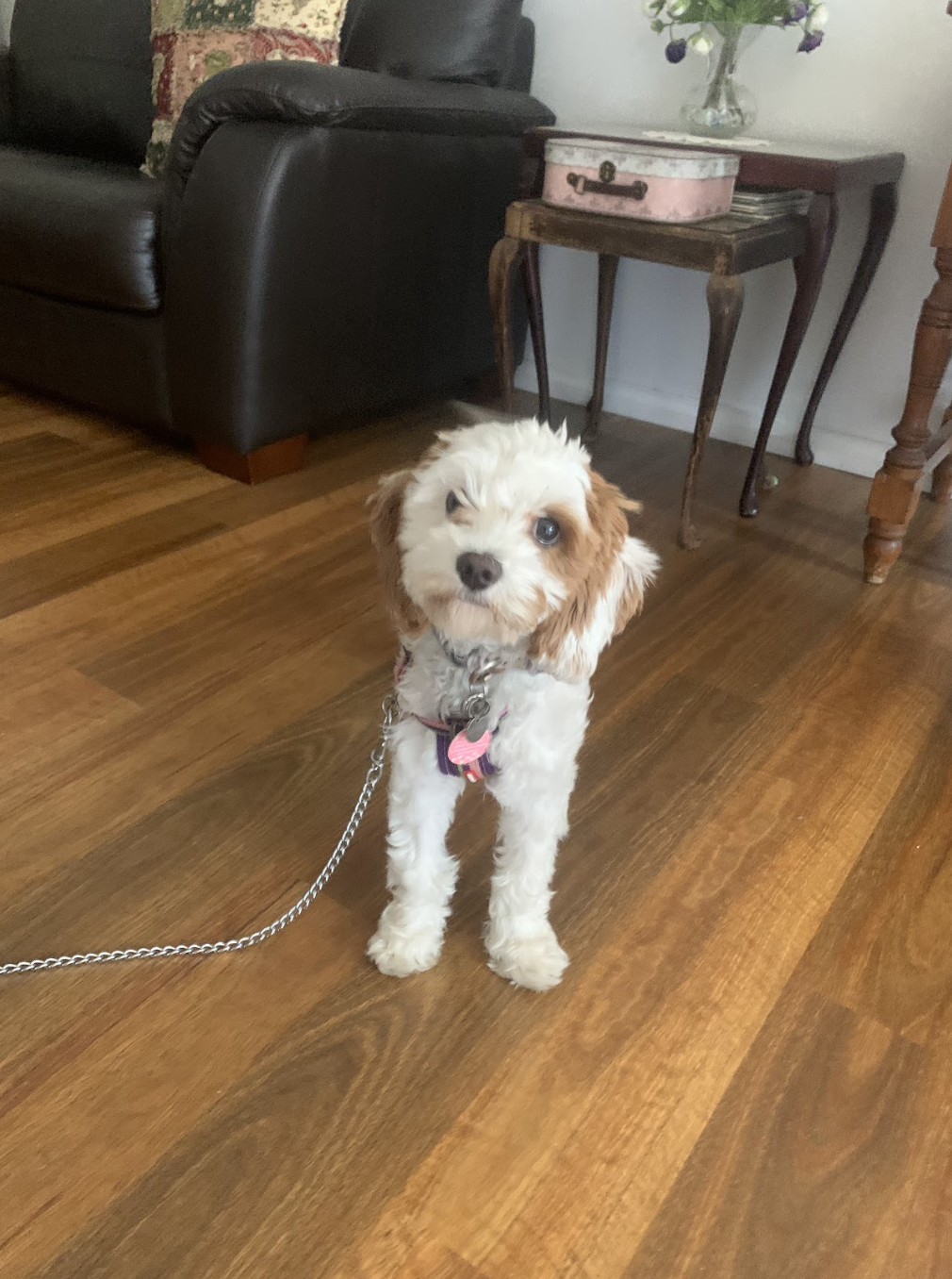 Millie