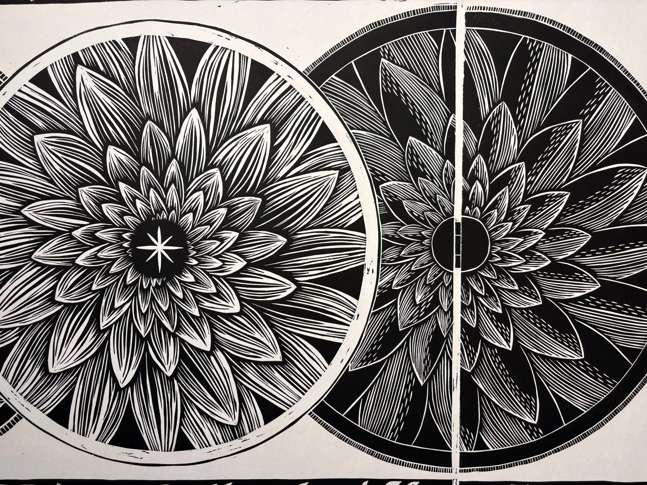 "Arvada Botanic", Detail
Oil-based ink on paper
Cramer 4/3/2026