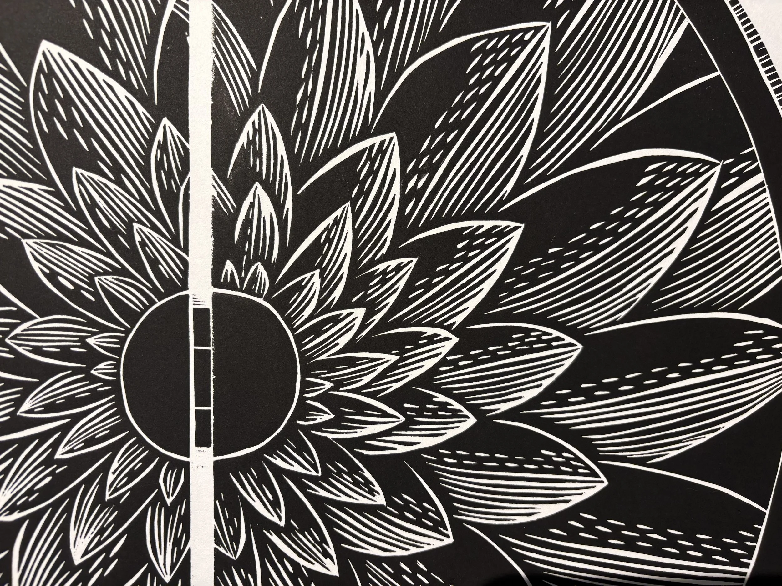 "Arvada Botanic", Detail
Oil-based ink on paper
Cramer 4/3/2026