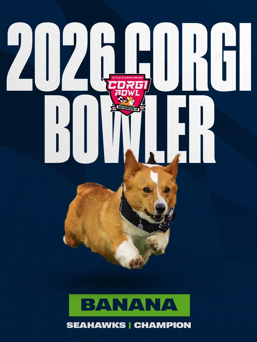 BANANA-Seahawks.jpeg