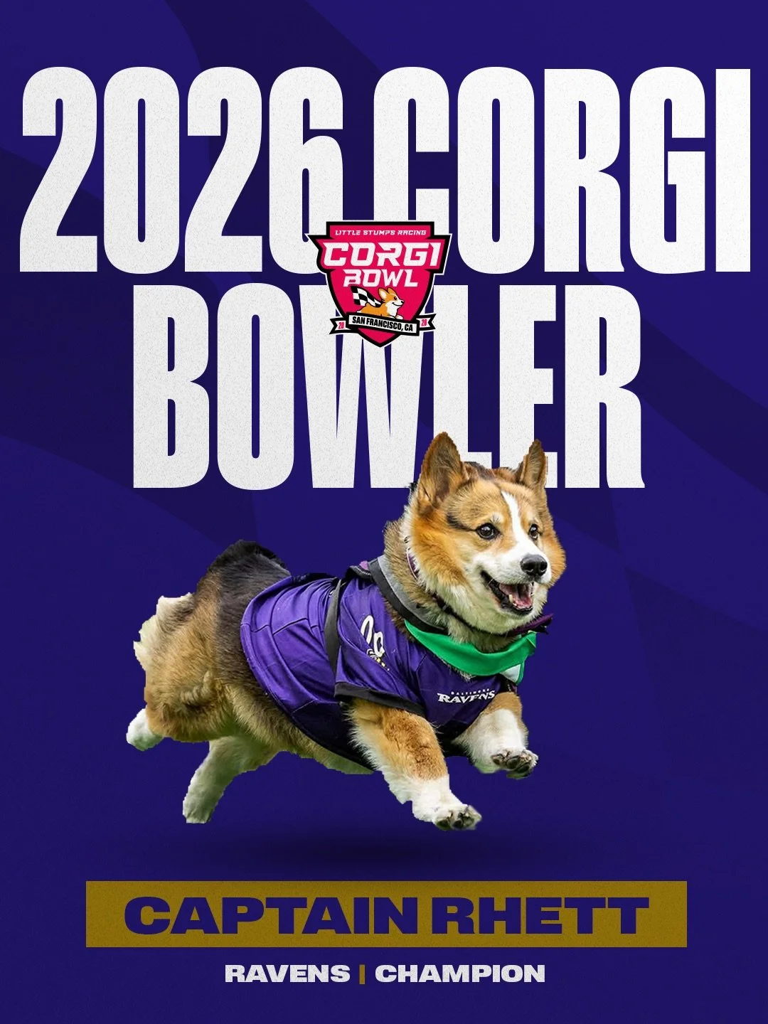 CAPTAIN RHETT-Ravens.jpeg